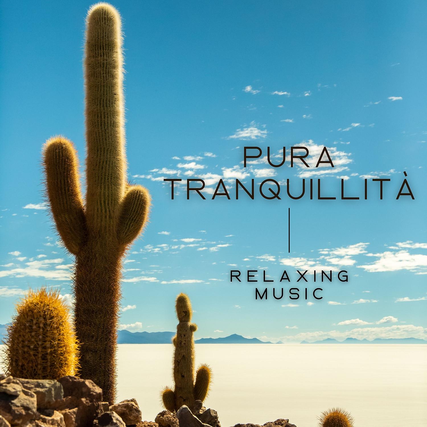 Постер альбома Pura tranquillità