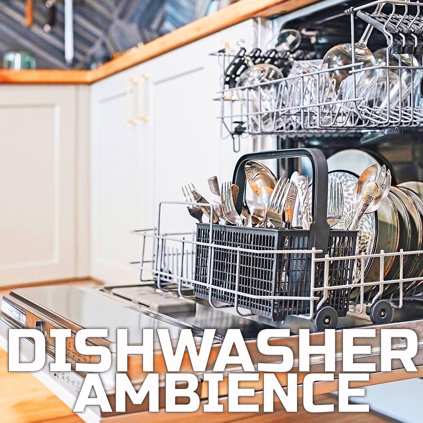 Постер альбома Dishwasher Ambience