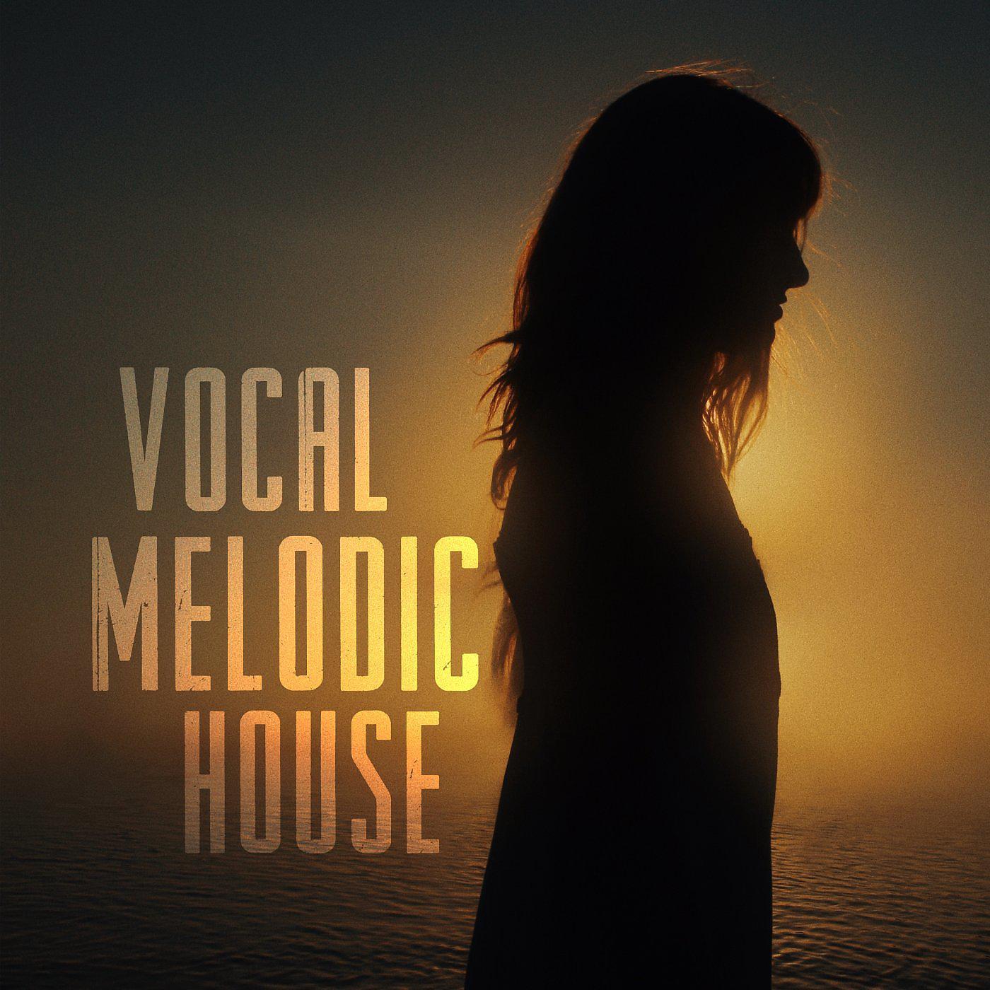 Постер альбома Vocal Melodic House