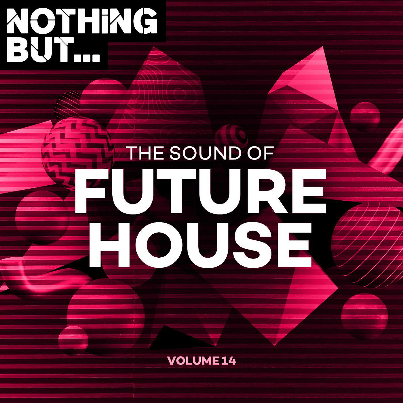 Постер альбома Nothing But... The Sound of Future House, Vol. 14