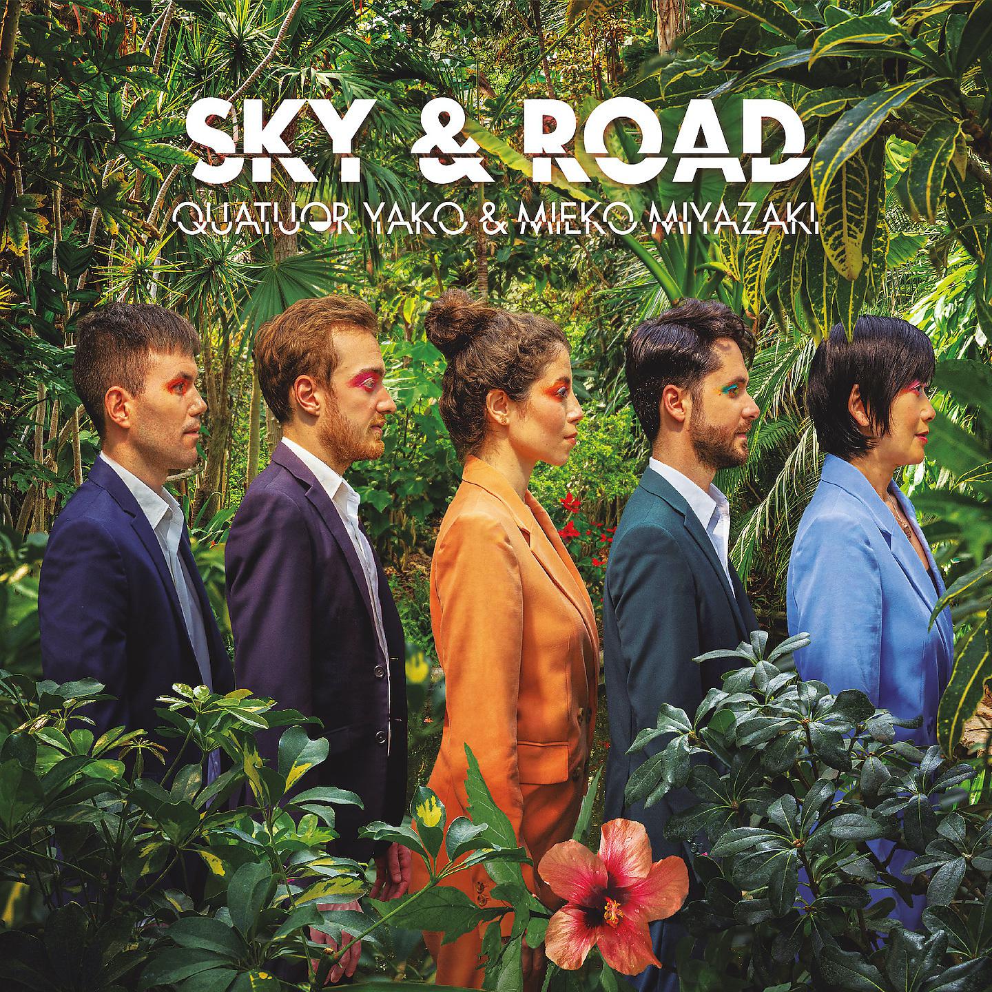 Постер альбома Sky & Road