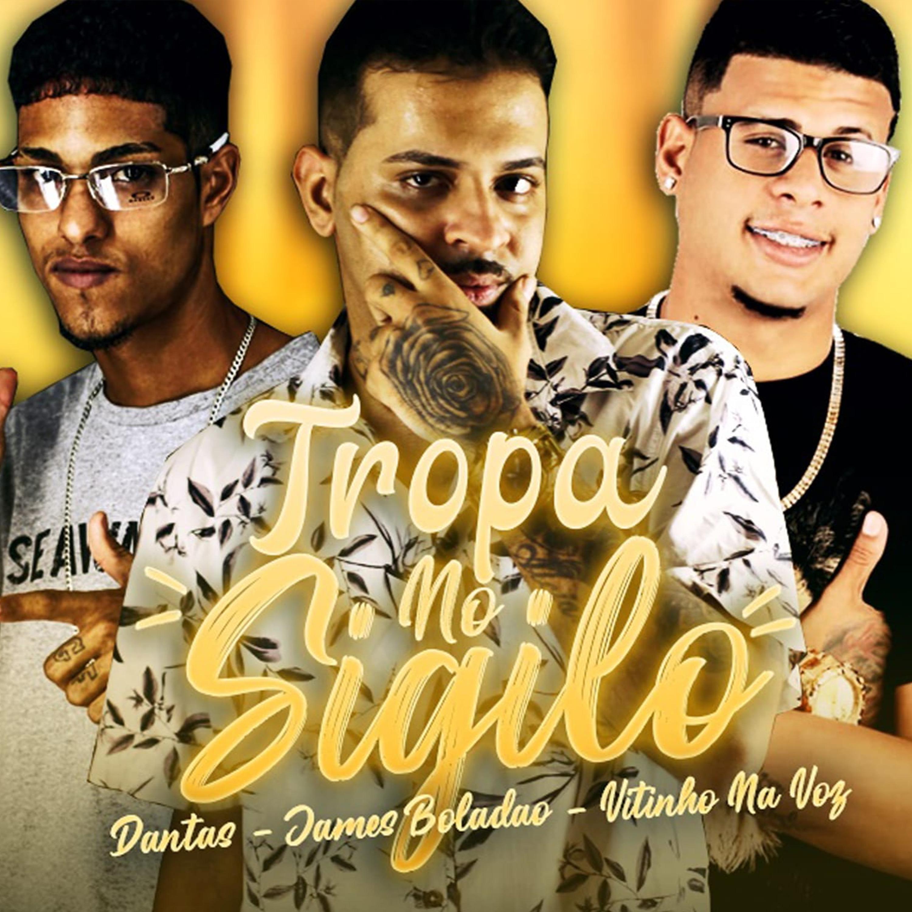 Постер альбома Tropa no Sigilo