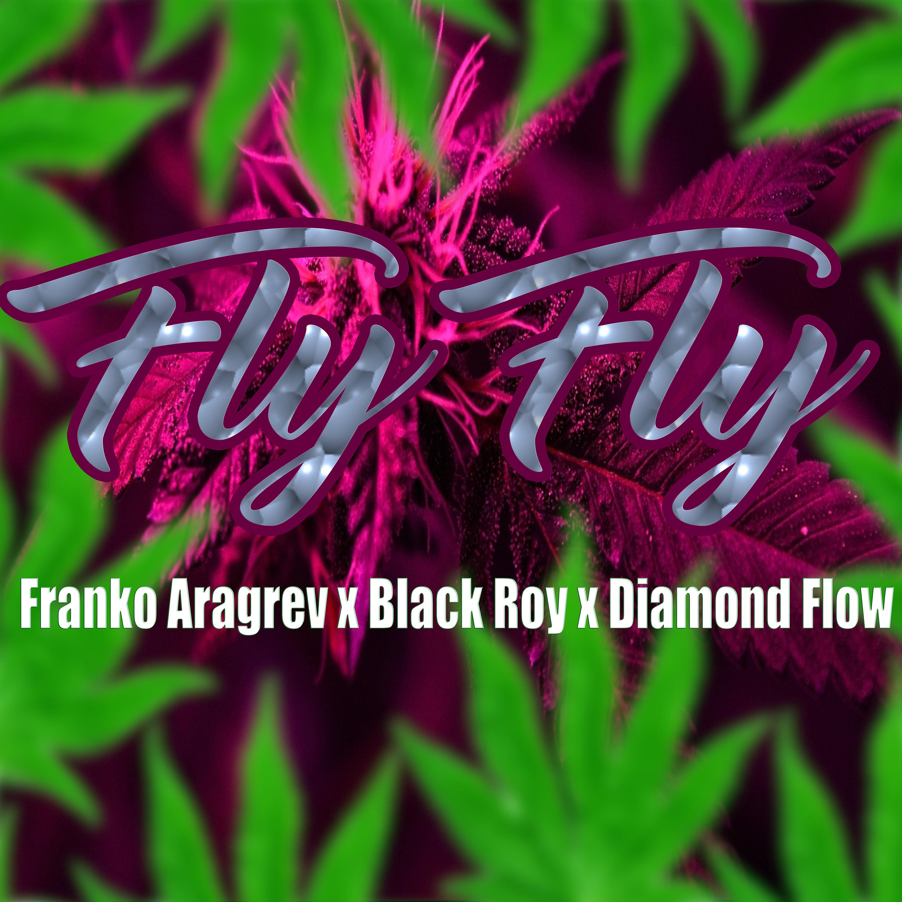 Постер альбома Fly Fly