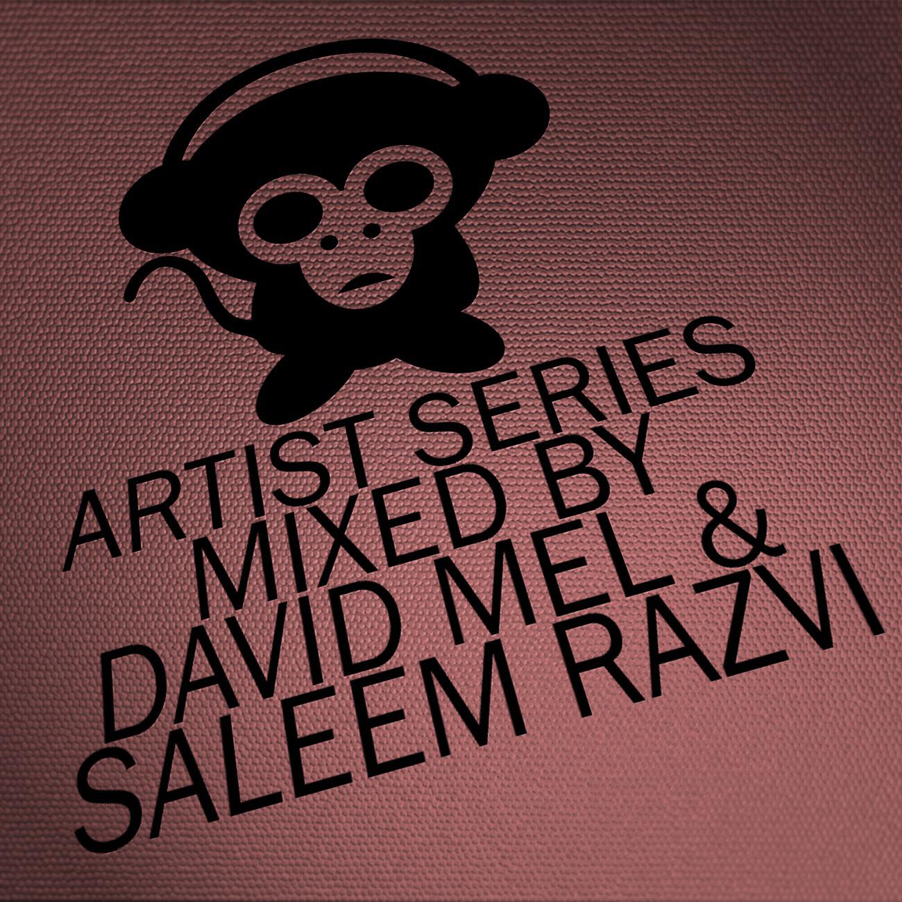 Various Artists - Housepital Artist Series, Vol. 9 Mixed By David Mel & Saleem Razvi (DJ Mix)