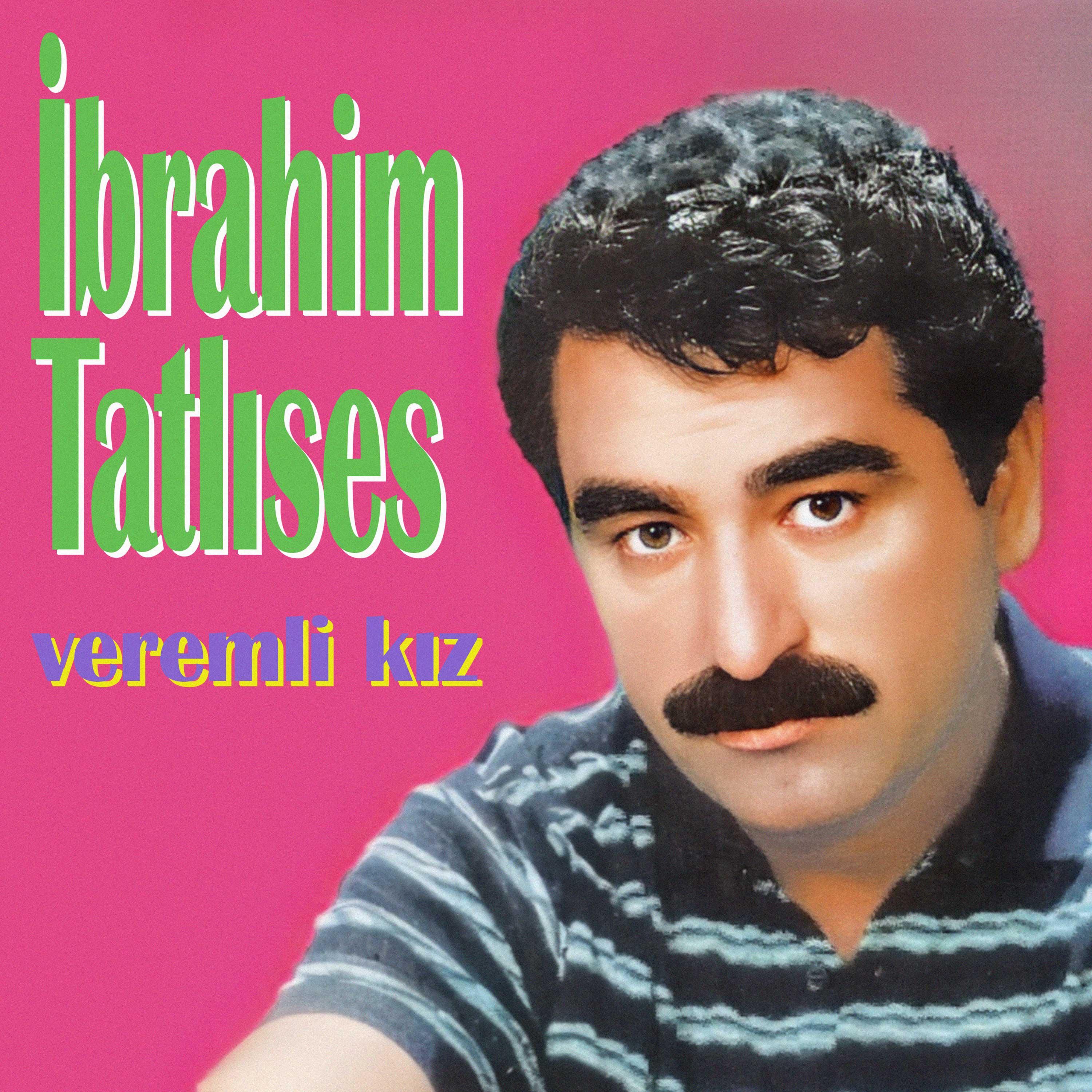 Постер альбома Veremli Kız