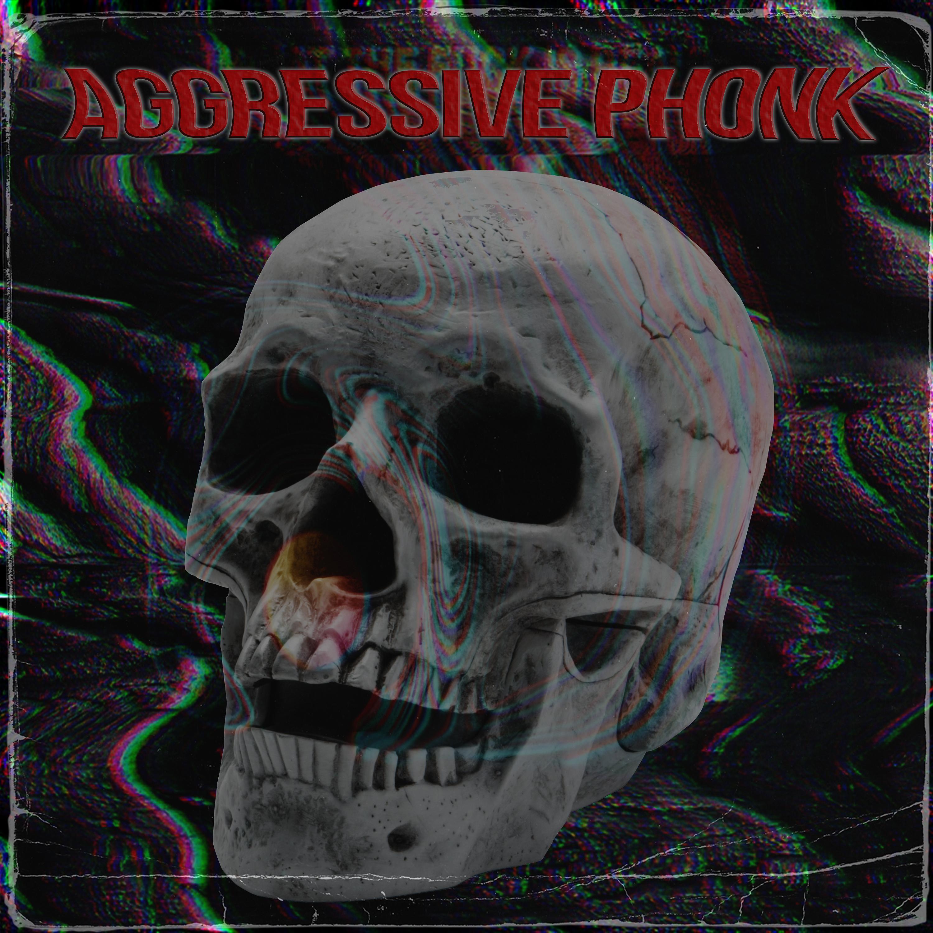Постер альбома Aggressive Phonk