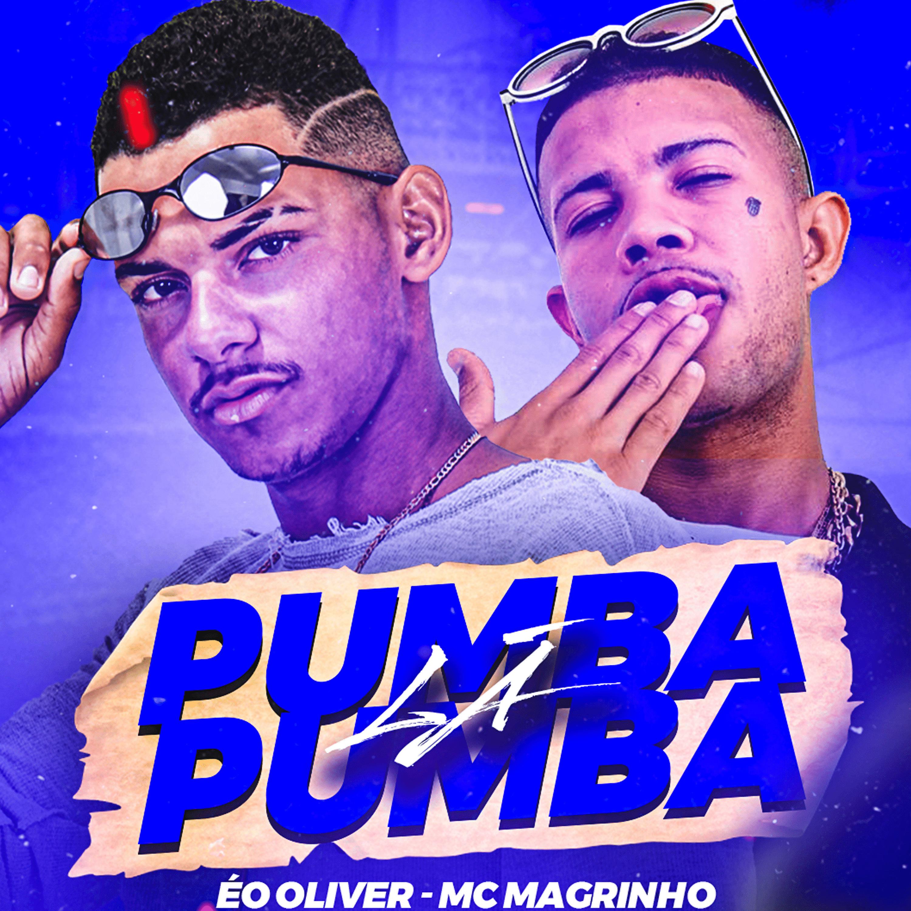 Постер альбома Pumba Lá Pumba