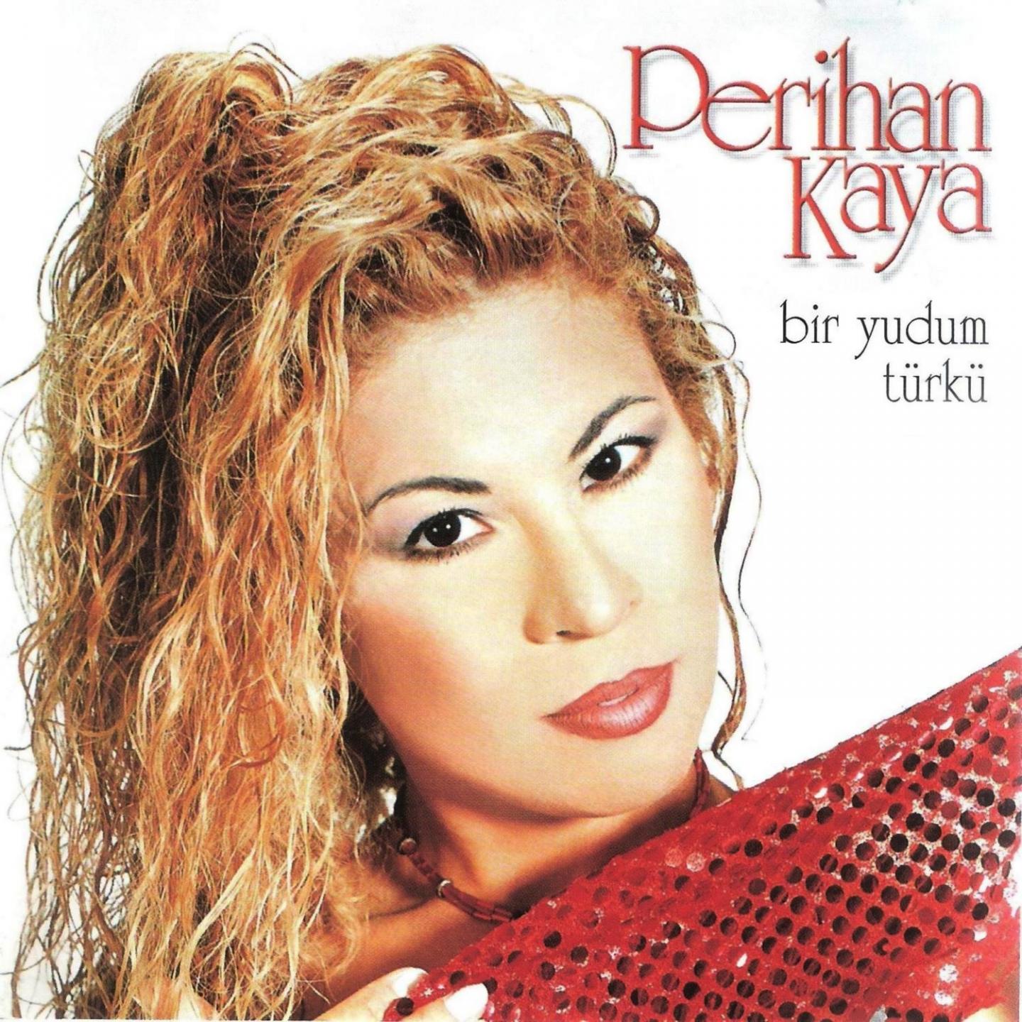 Постер альбома Bir Yudum Türkü