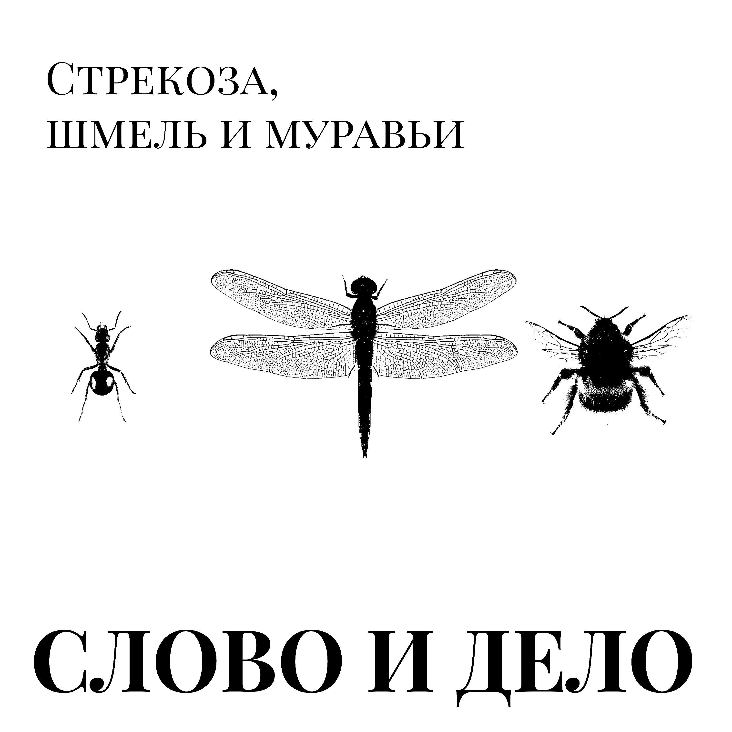 Постер альбома Стрекоза, шмель и муравьи