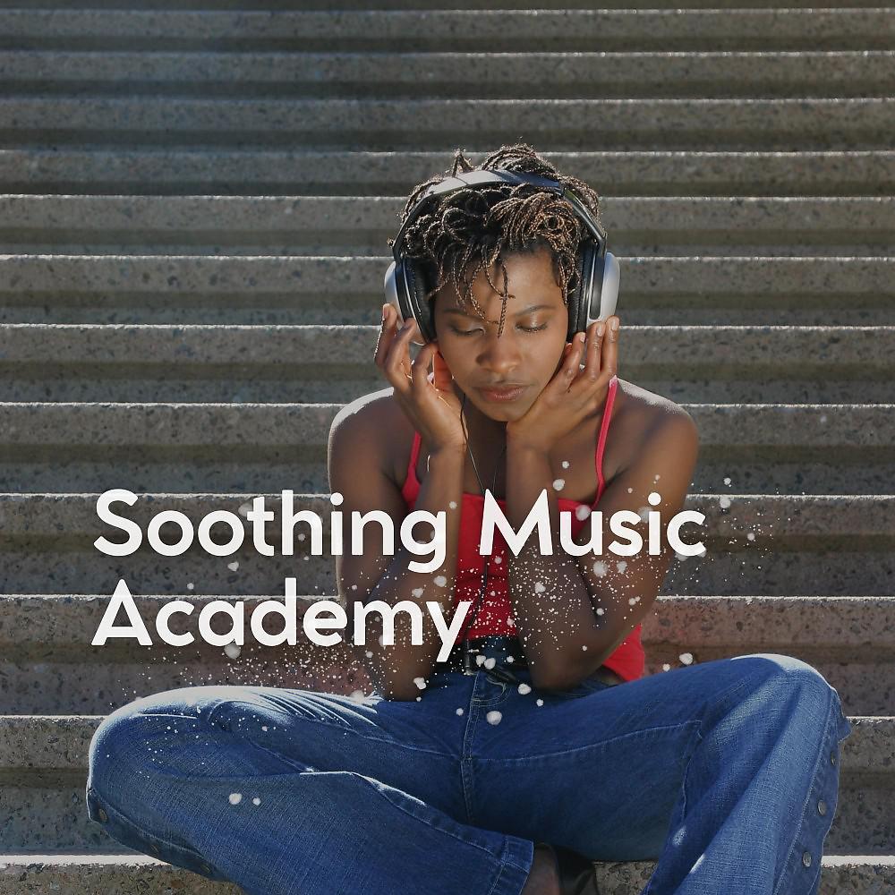 Постер альбома Soothing Music Academy
