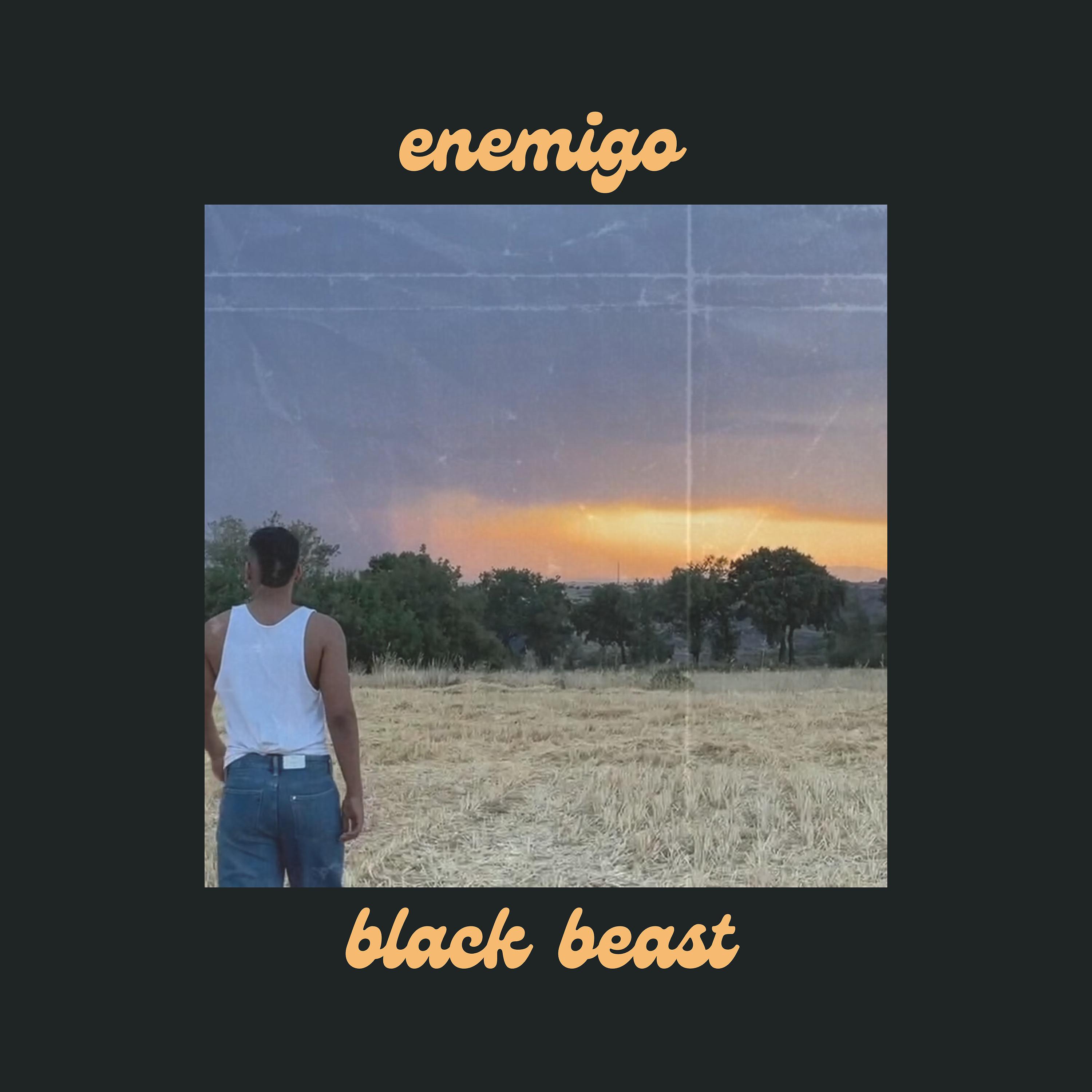 Постер альбома Enemigo