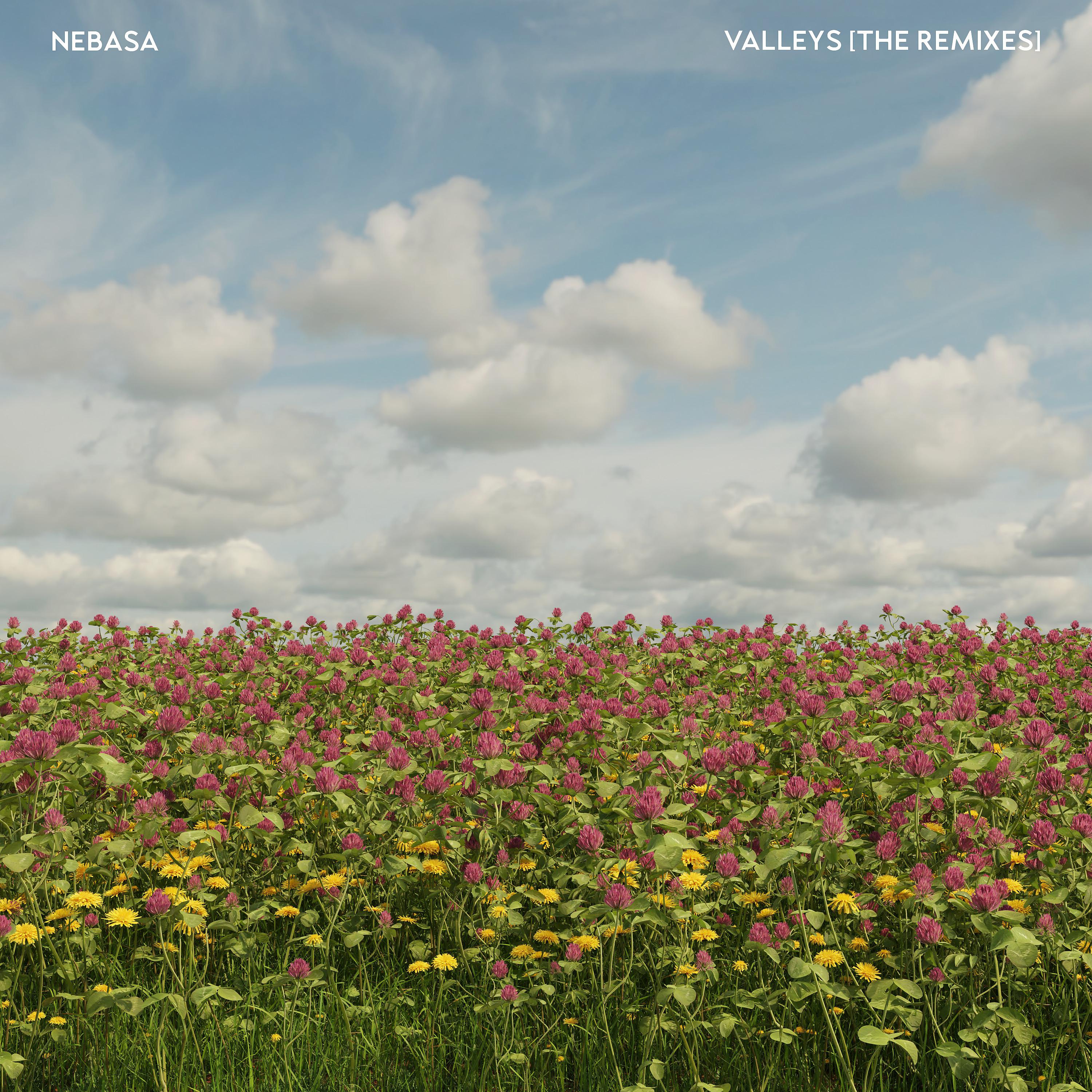 Постер альбома Valleys (The Remixes)