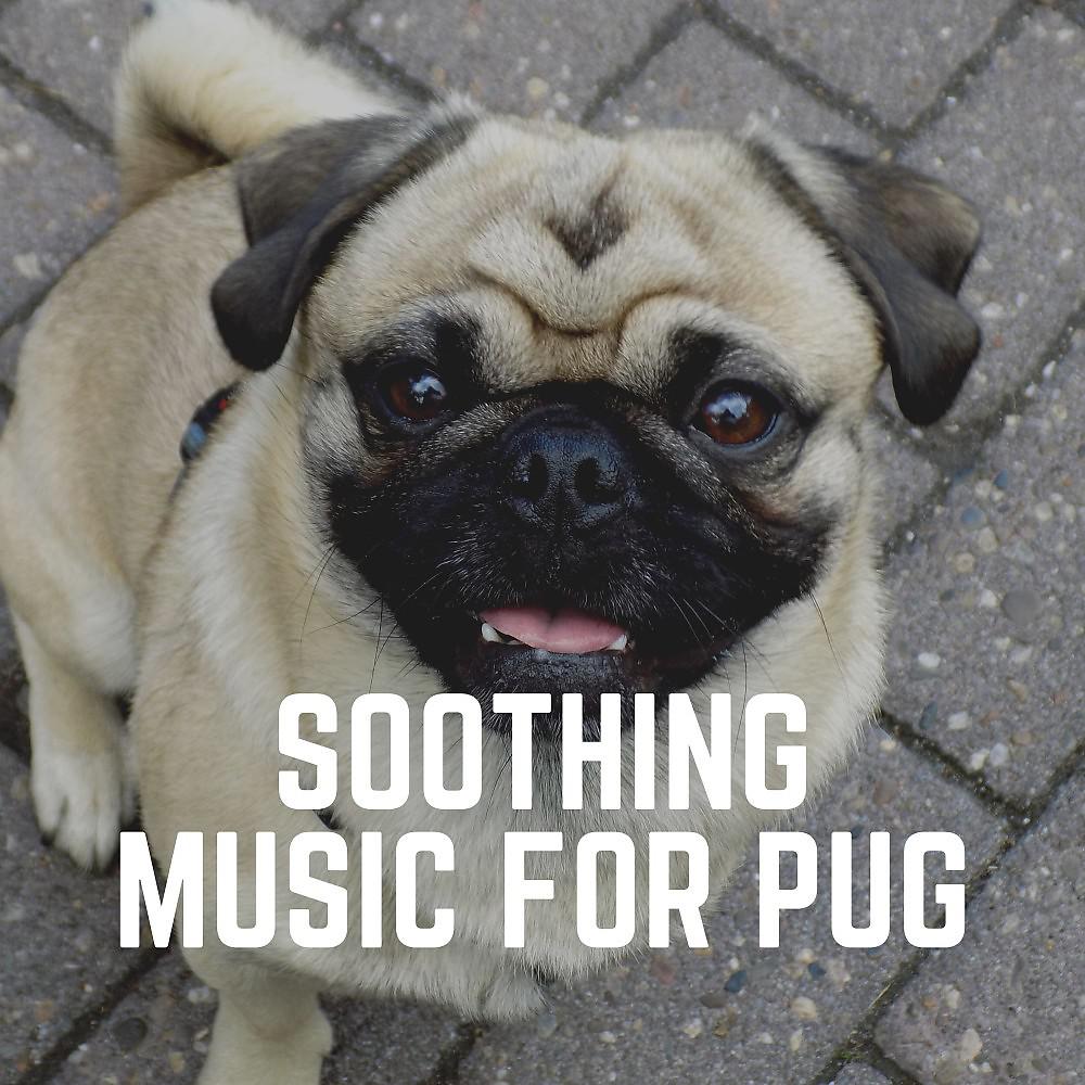 Постер альбома Soothing Music for Pug