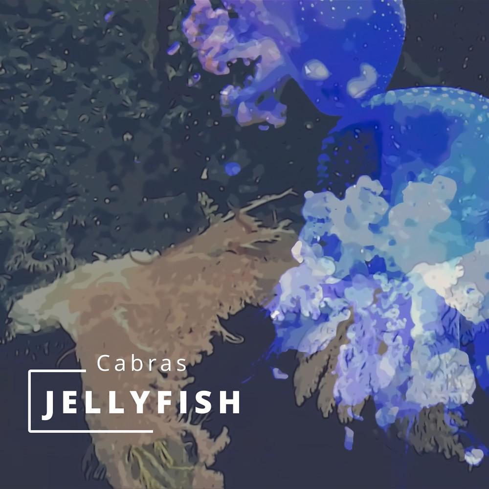 Постер альбома Jellyfish