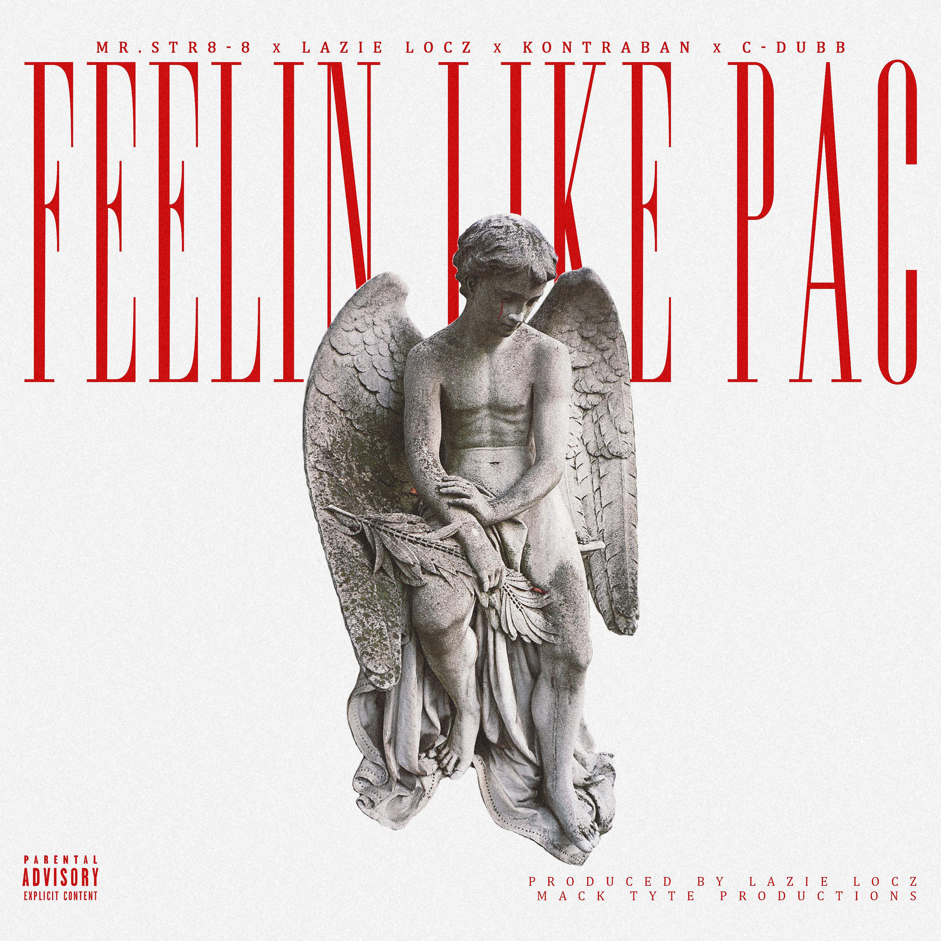 Постер альбома Feelin Like Pac (feat. Lazie Locz, Kontraban & C-Dubb)