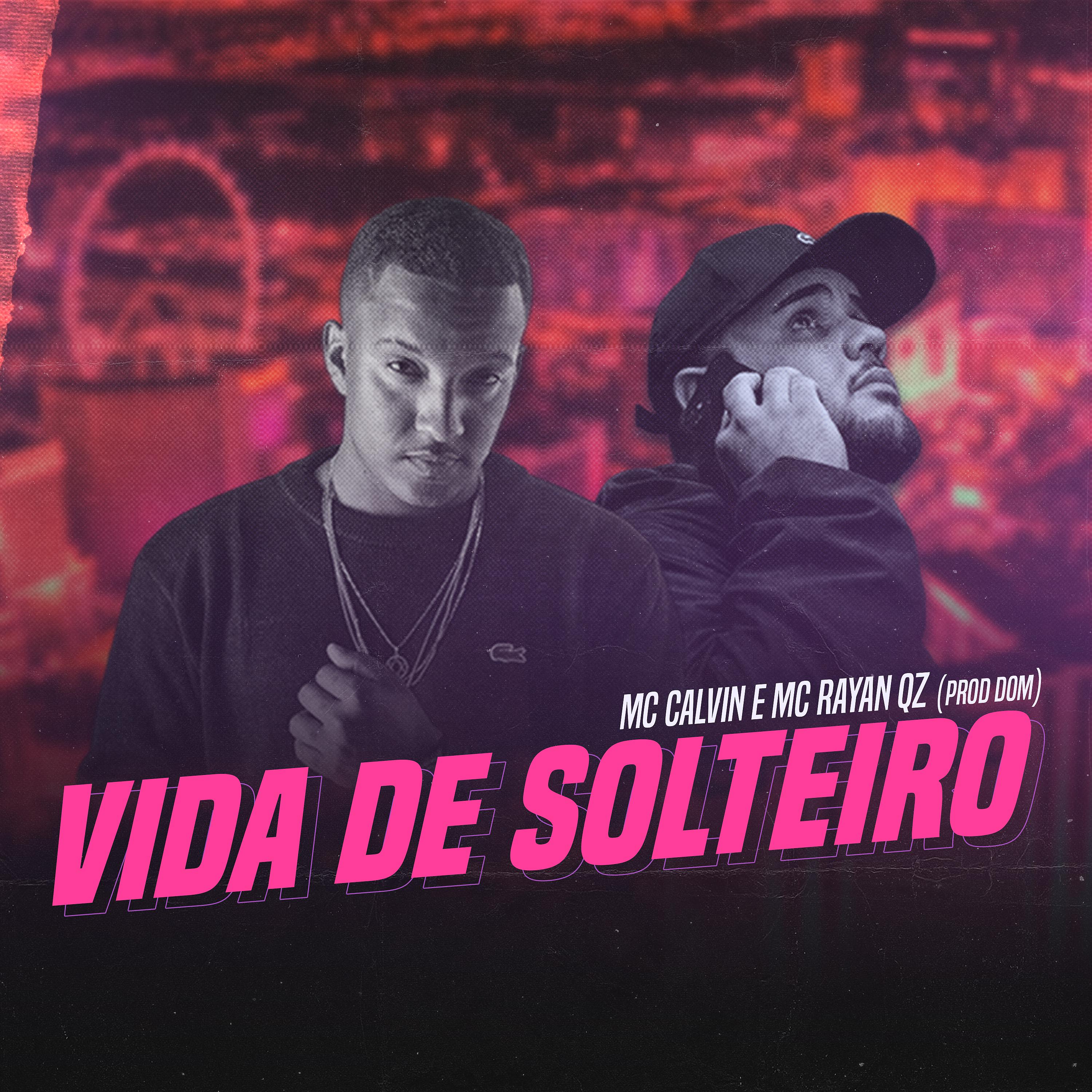 Постер альбома Vida de Solteiro