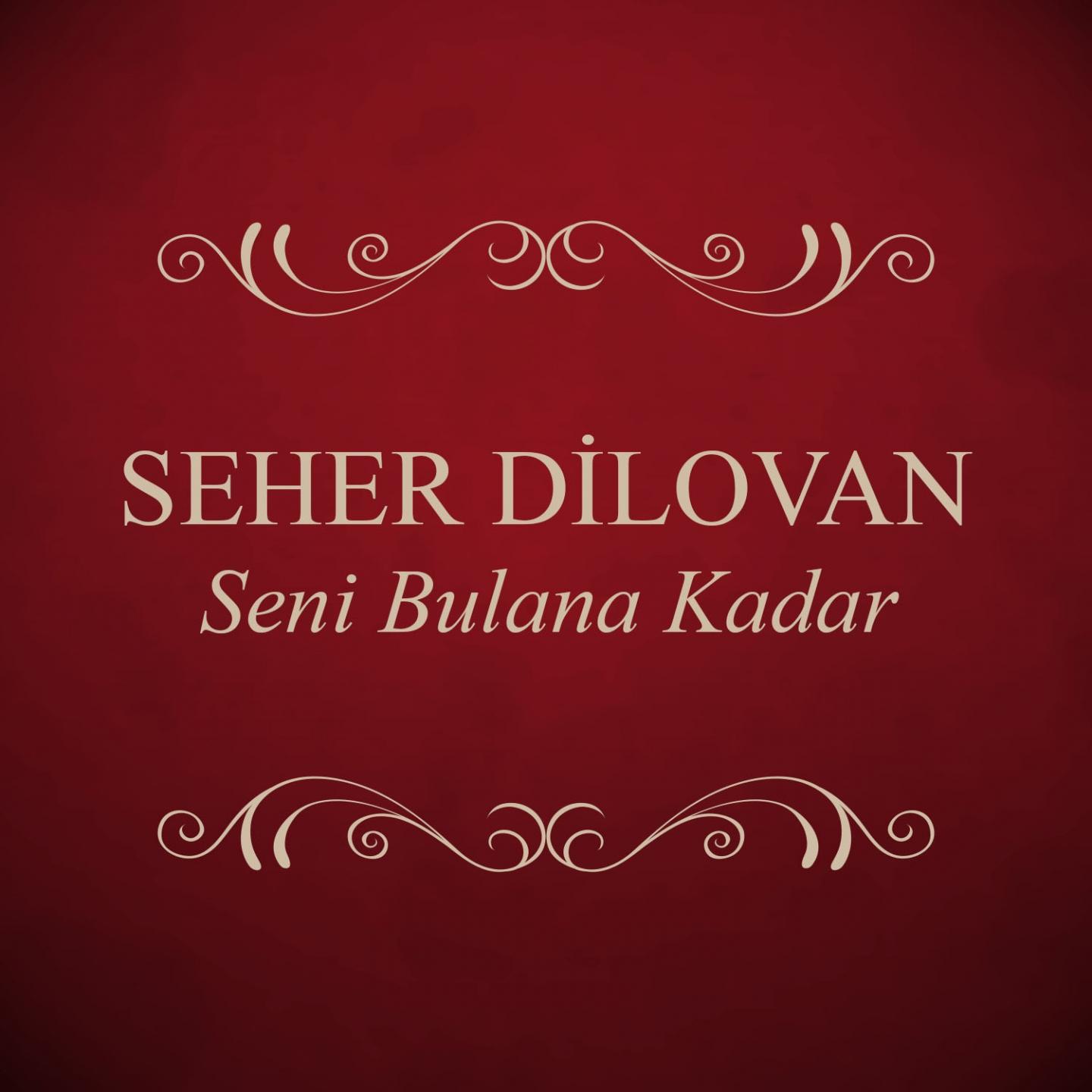 Постер альбома Seni Bulana Kadar