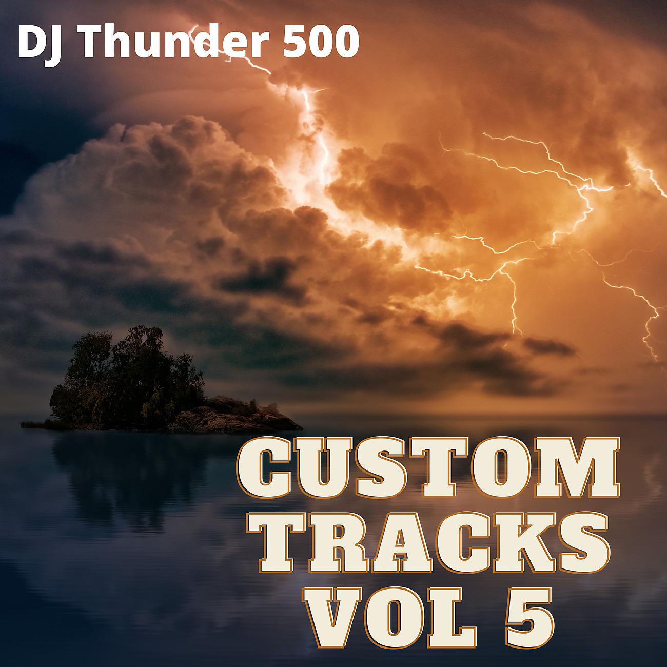 Постер альбома Custom Tracks Vol 5