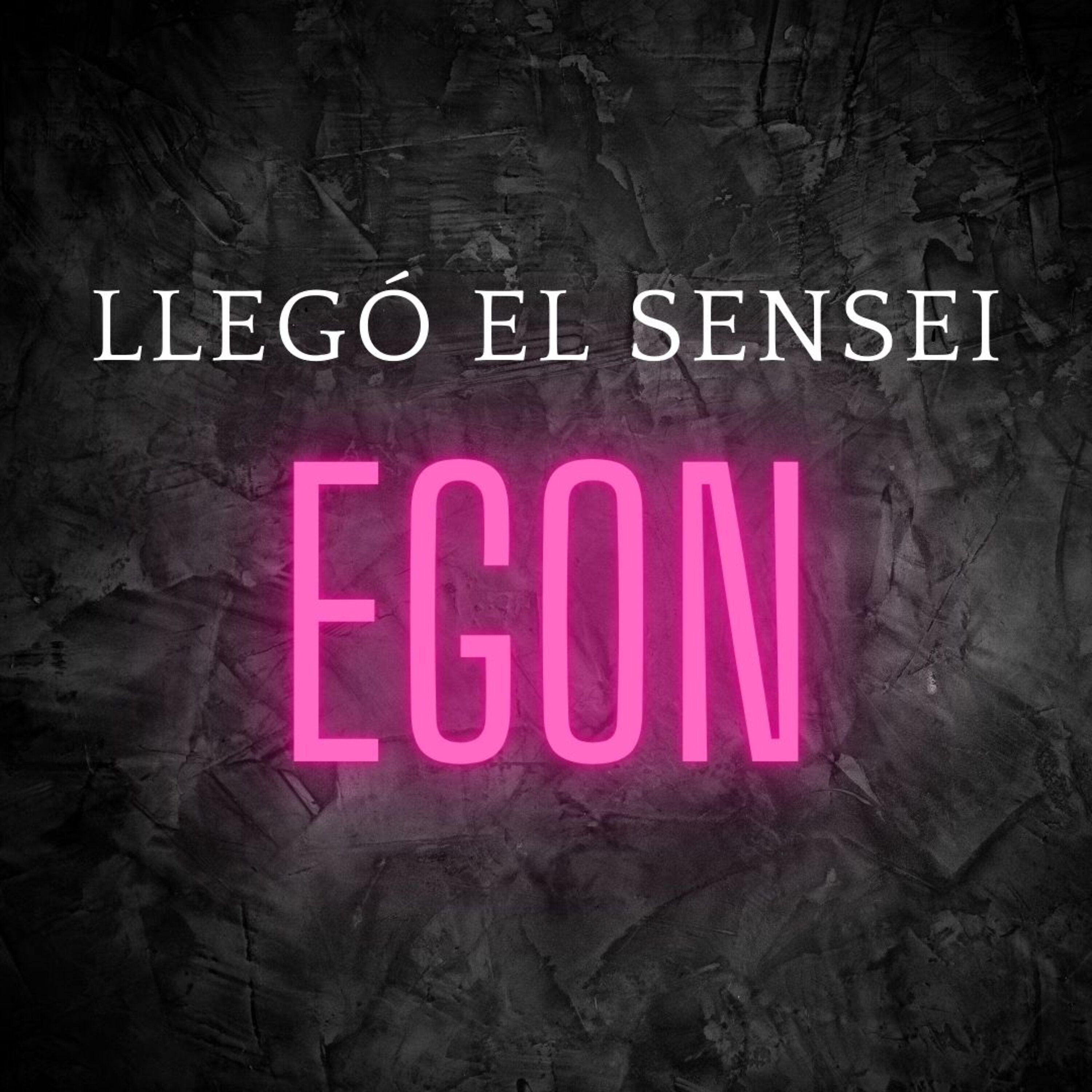 Постер альбома Llegó el Sensei