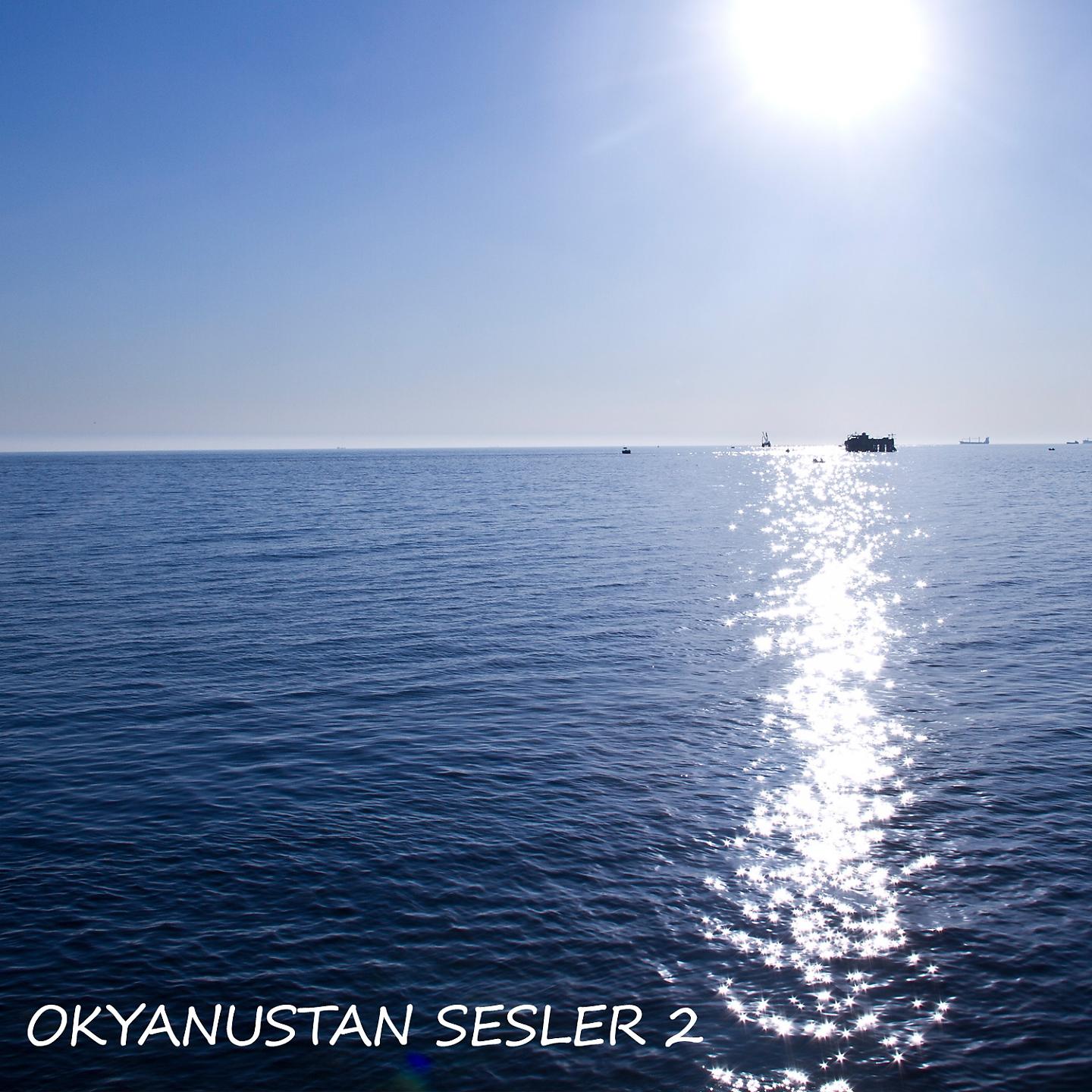 Постер альбома Okyanustan Sesler, Vol. 2