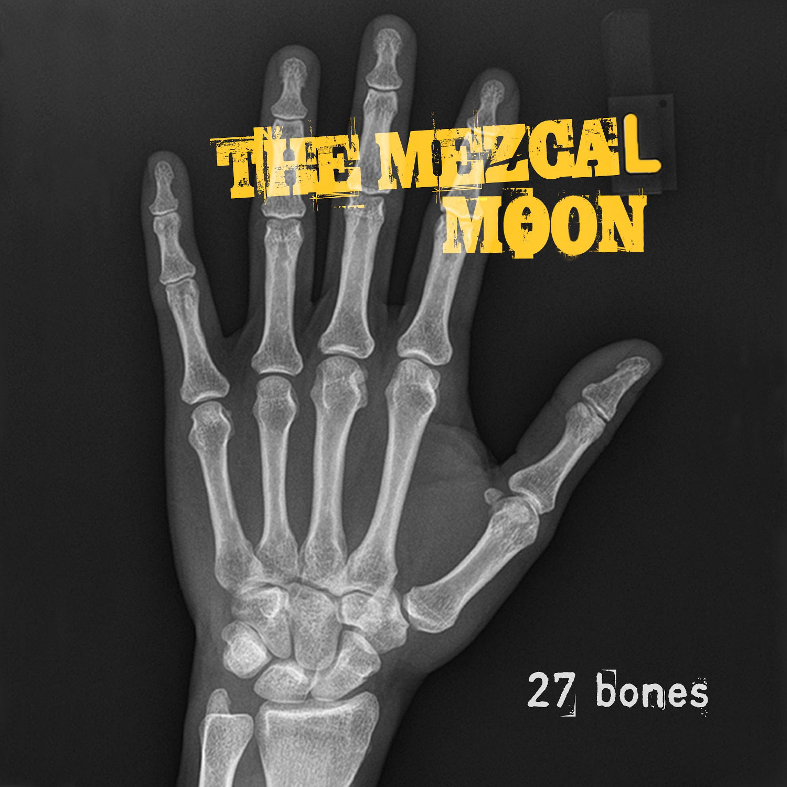 Постер альбома 27 bones