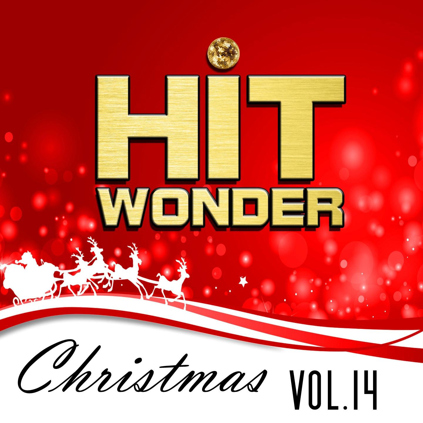 Постер альбома Hit Wonder: Christmas, Vol. 14