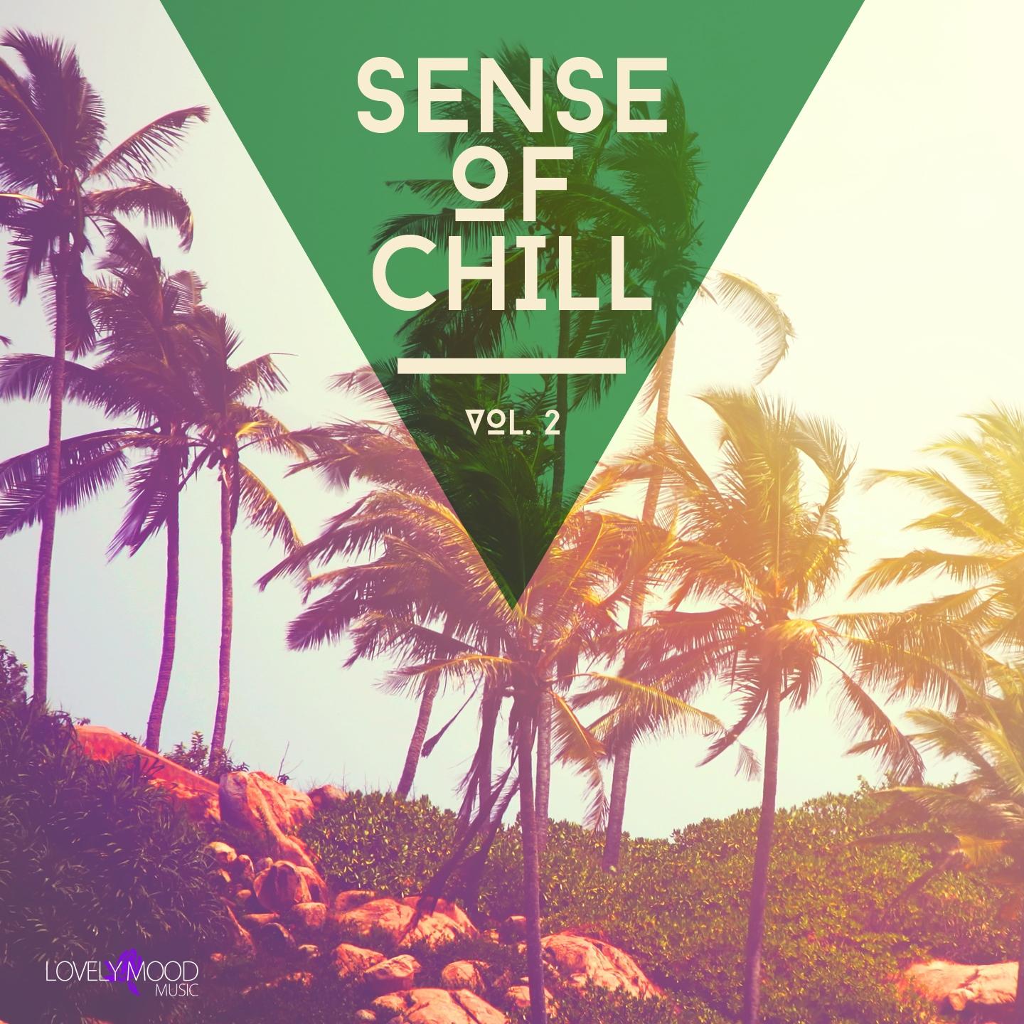 Постер альбома Sense of Chill, Vol. 2