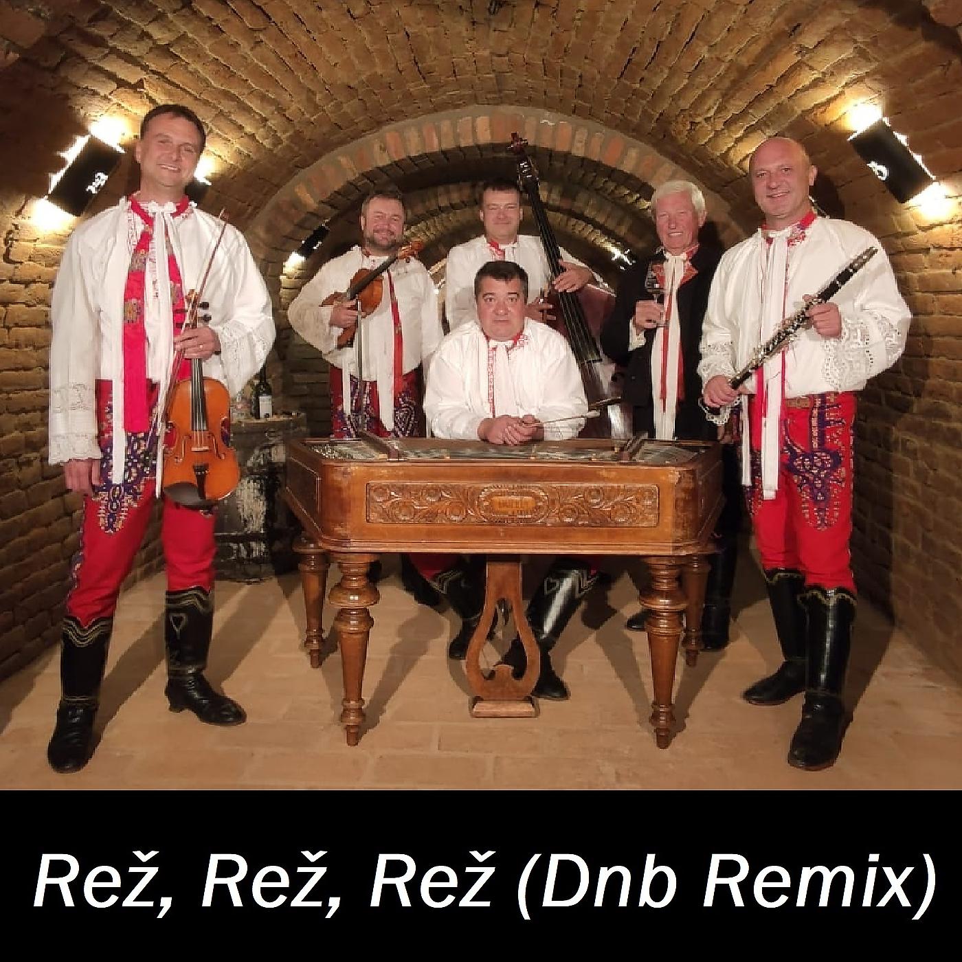 Постер альбома Rež, Rež, Rež (Dnb Remix)