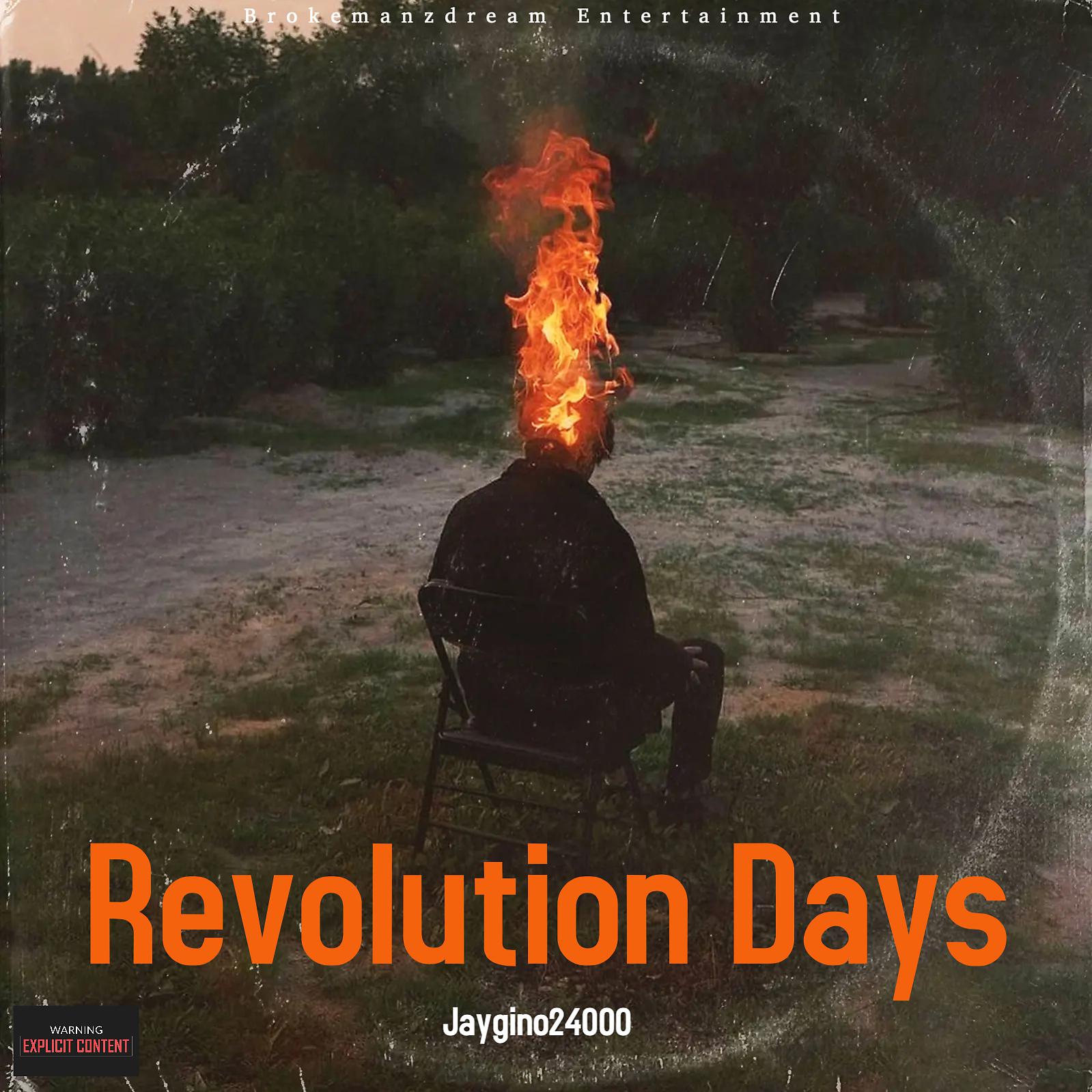 Постер альбома Revolution Days