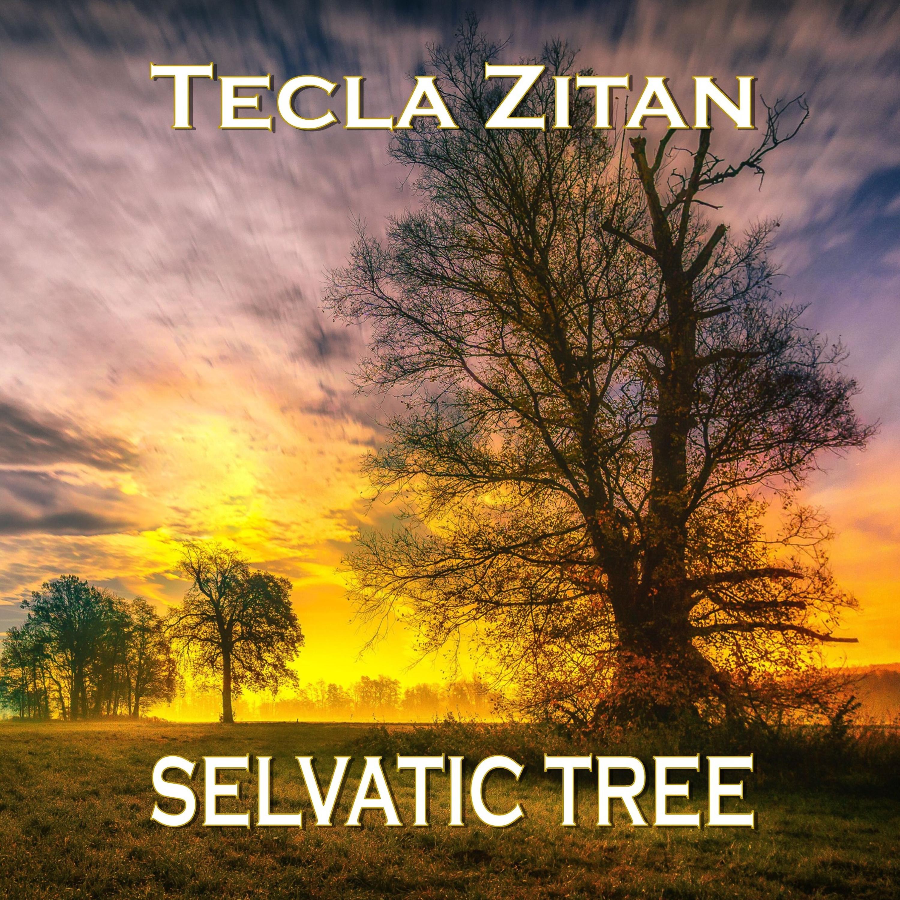 Постер альбома Selvatic Tree