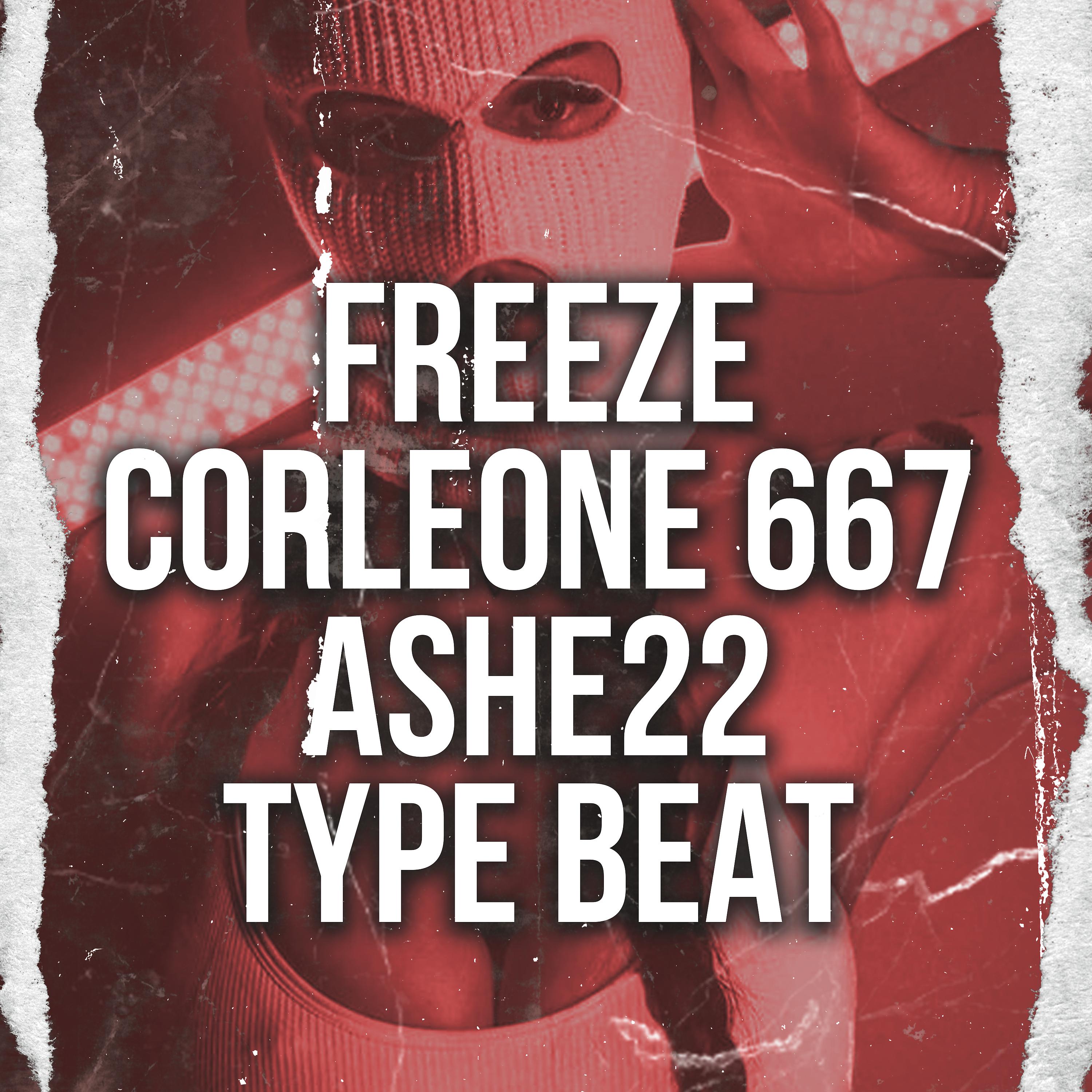 Постер альбома Freeze Corleone 667 X Ashe22 Type Beat