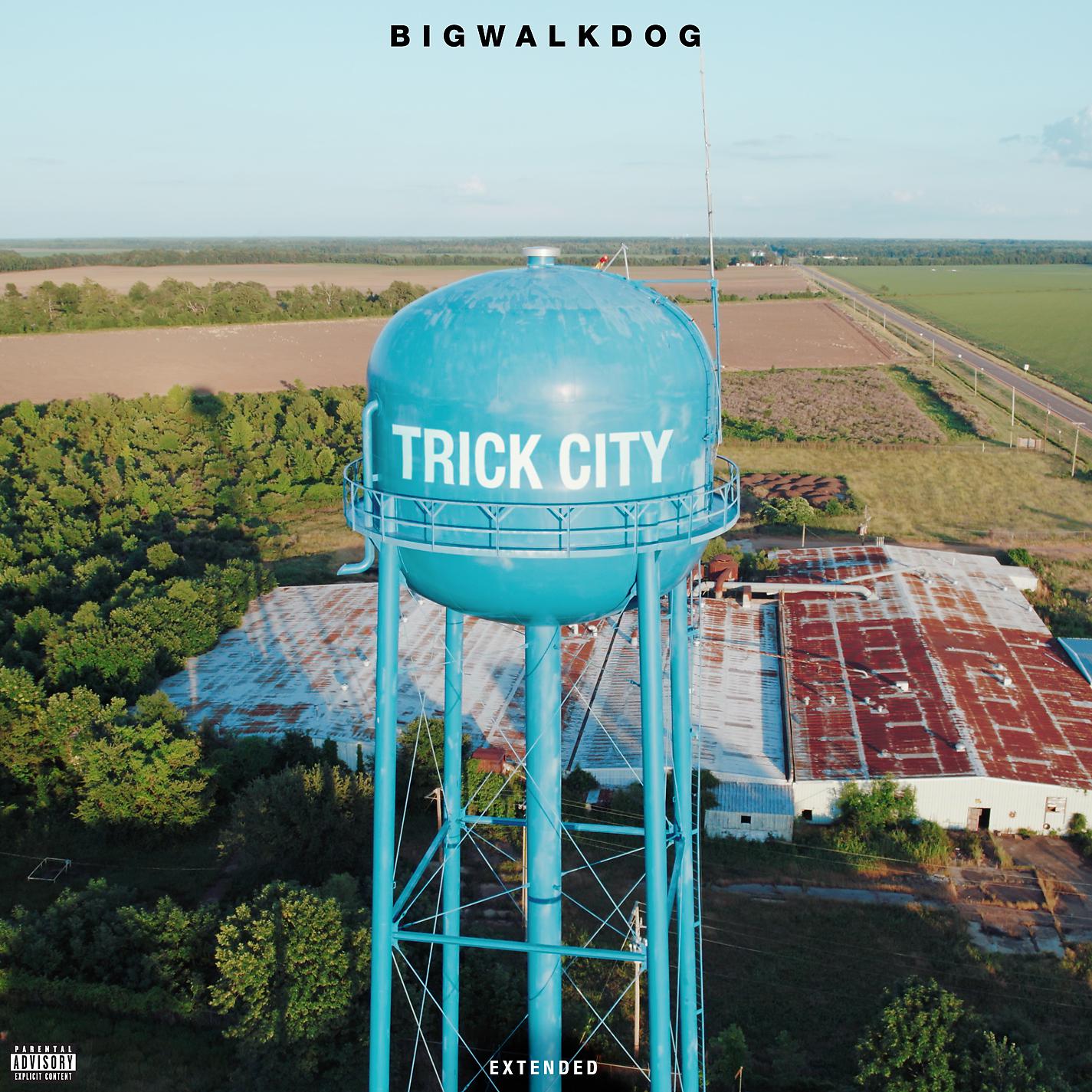 Постер альбома Trick City (Extended)