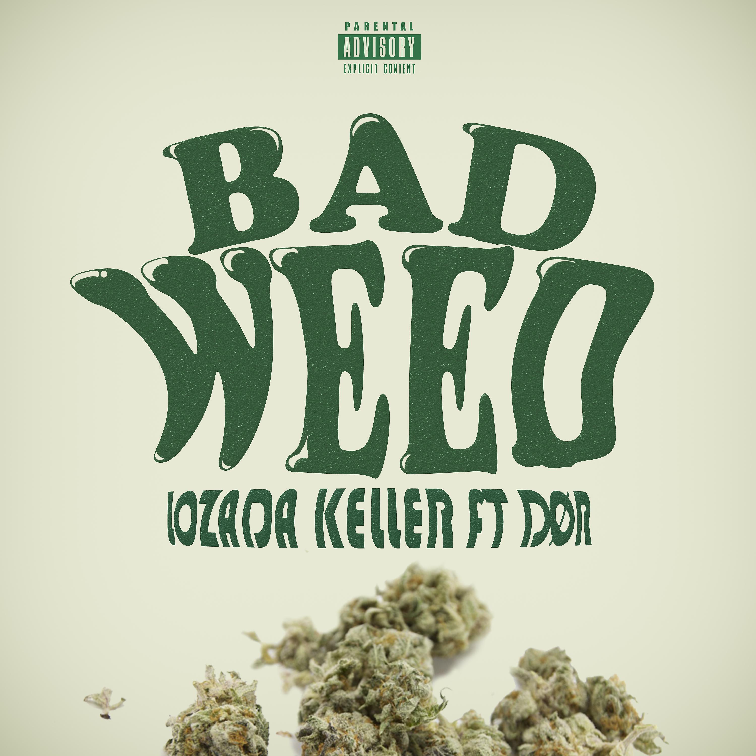 Постер альбома Bad Weed