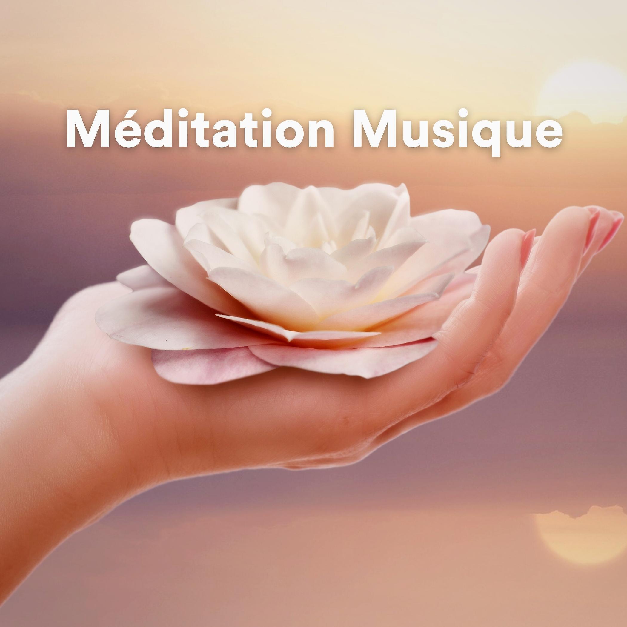 Постер альбома Méditation Musique