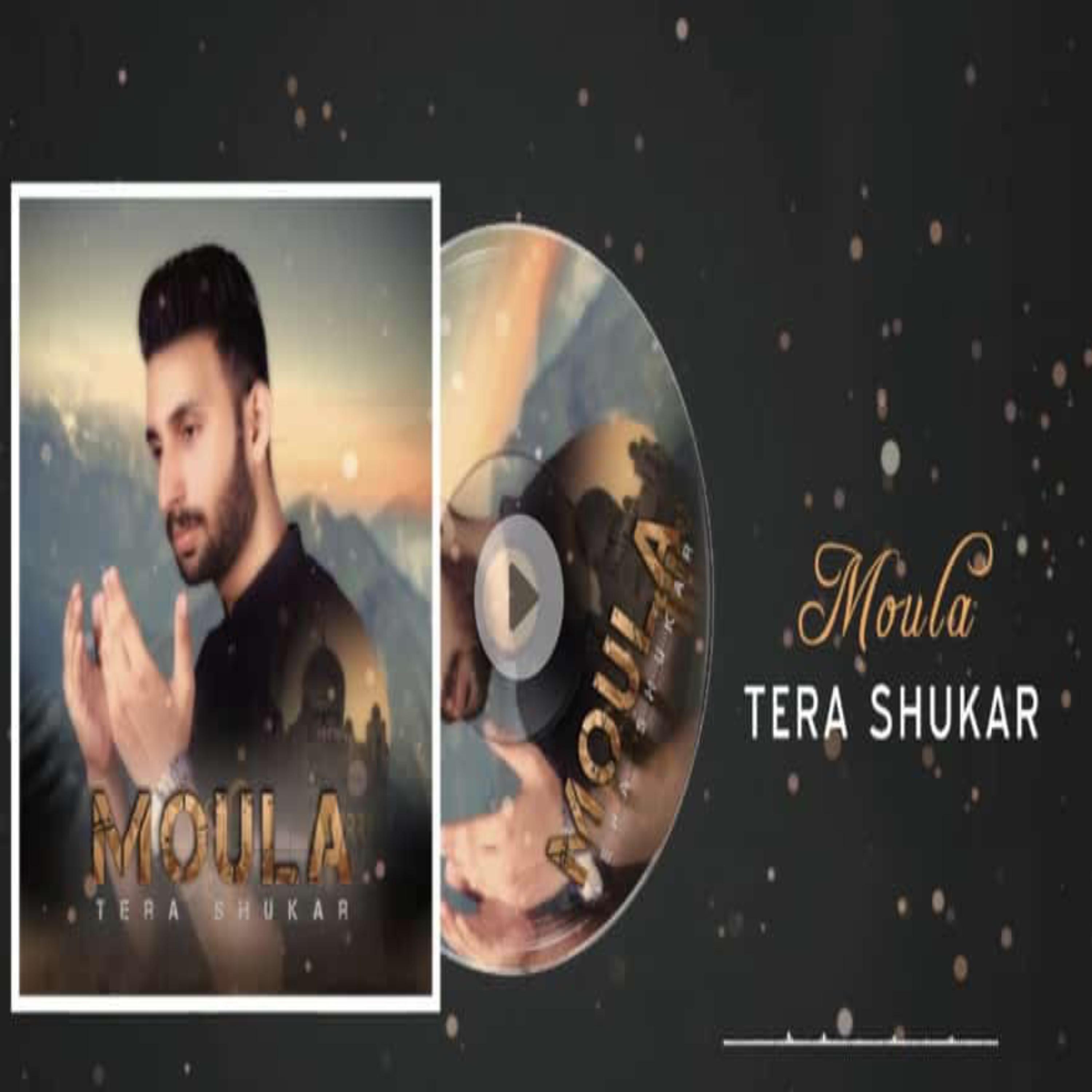 Постер альбома Moula Tera Shukar