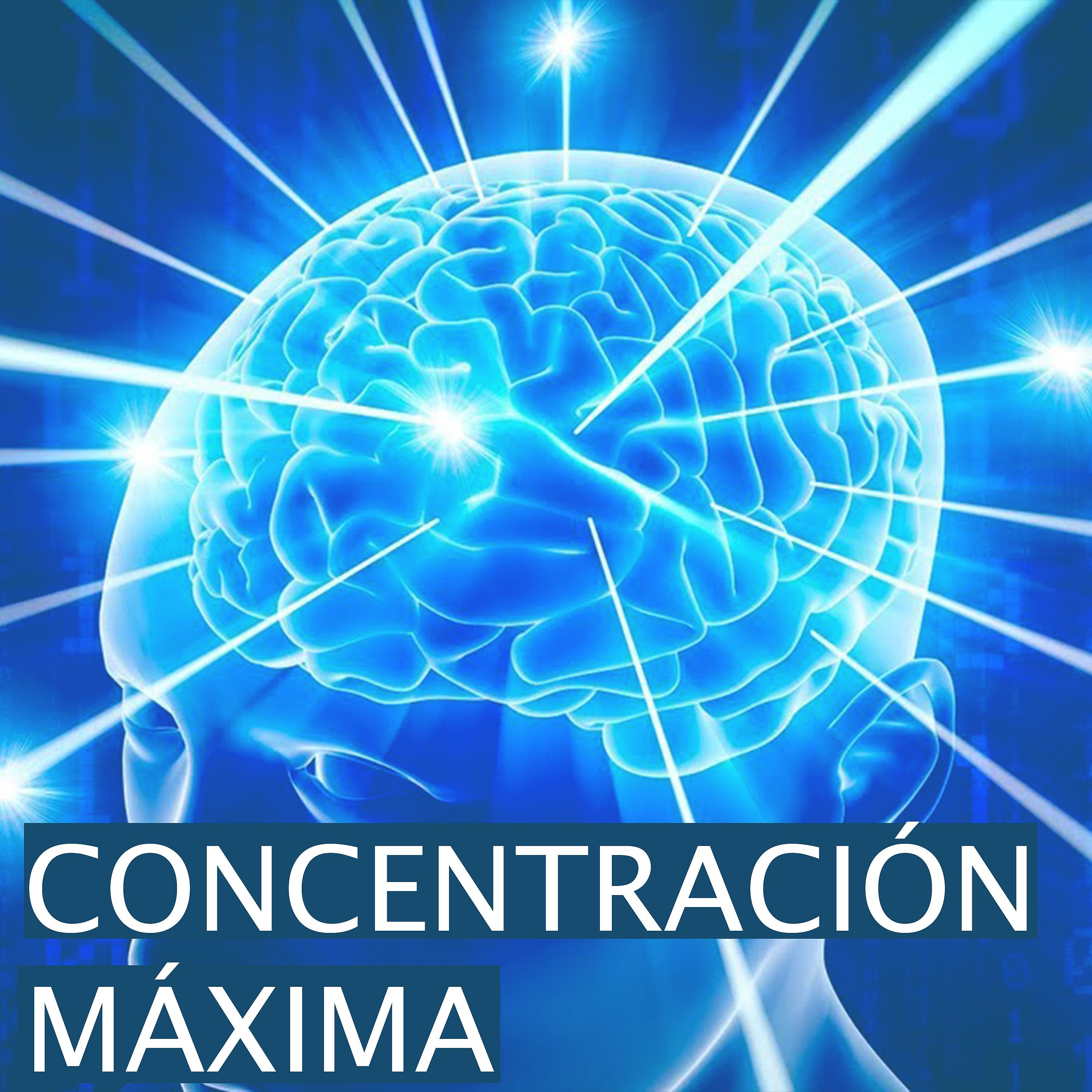 Постер альбома Concentracion Maxima