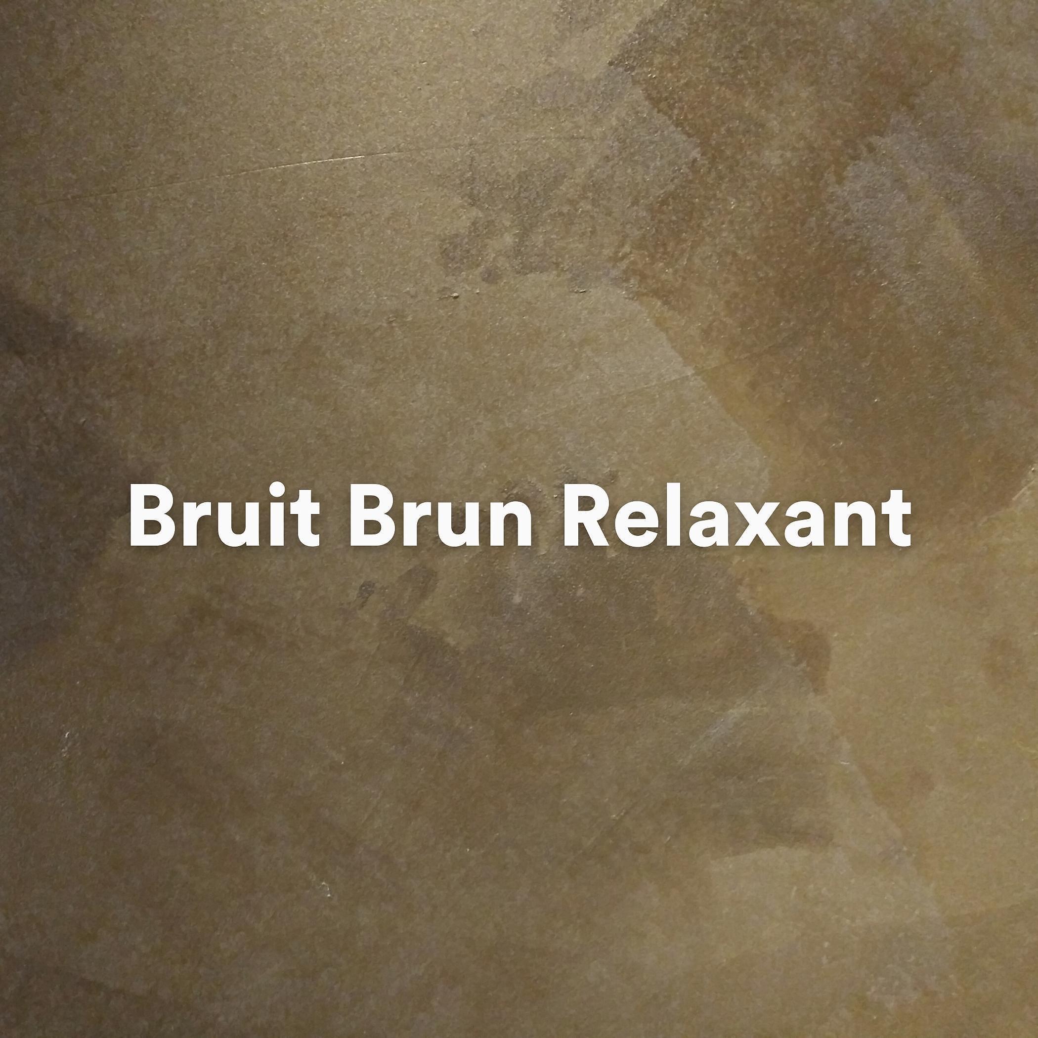 Постер альбома Bruit Brun Relaxant