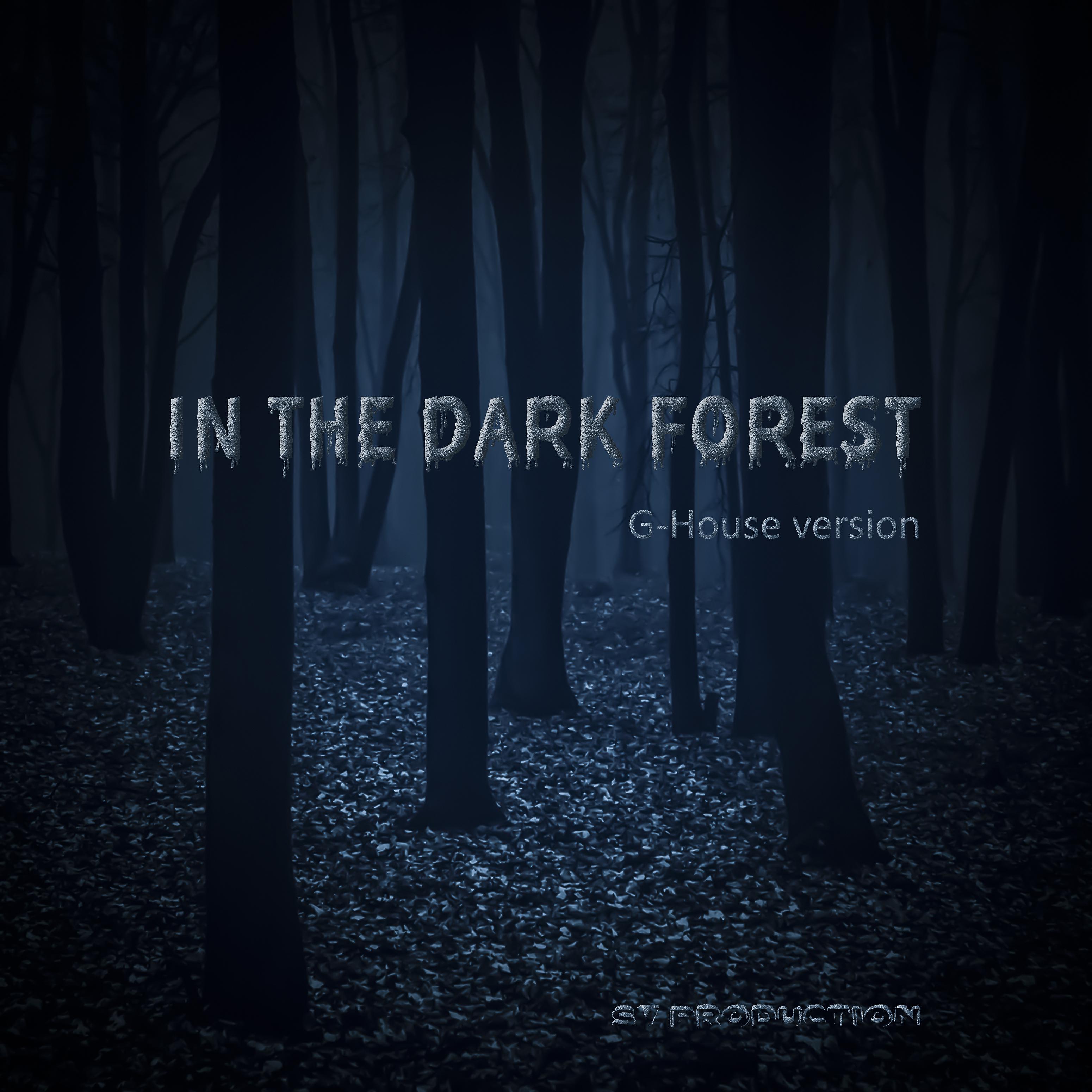 Постер альбома In the Dark Forest (G-house Version)