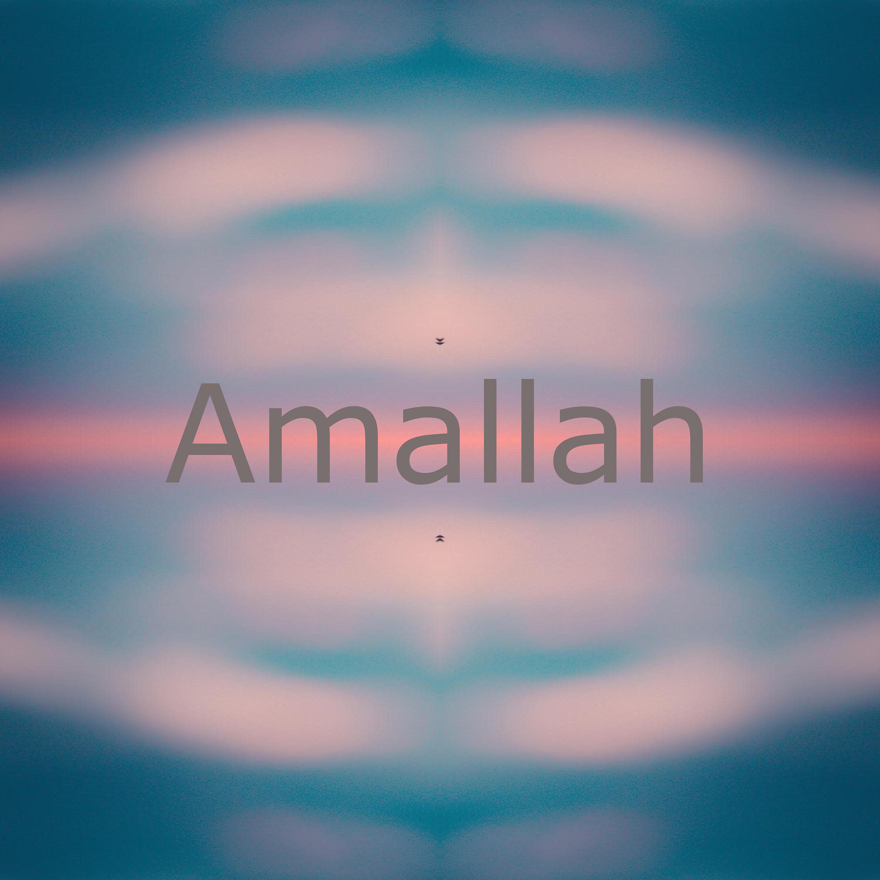 Постер альбома Amallah