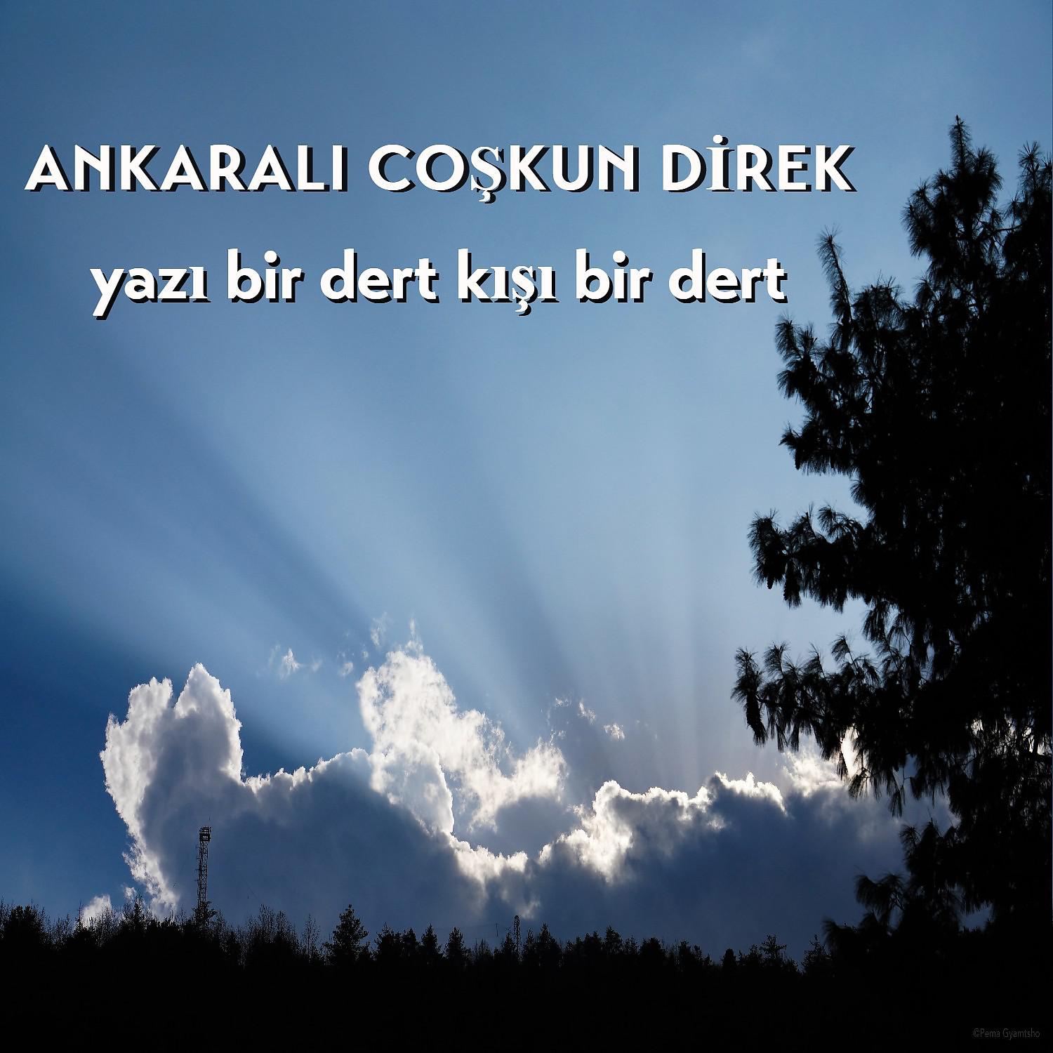 Постер альбома Yazı Bir Dert Kışı Bir Dert