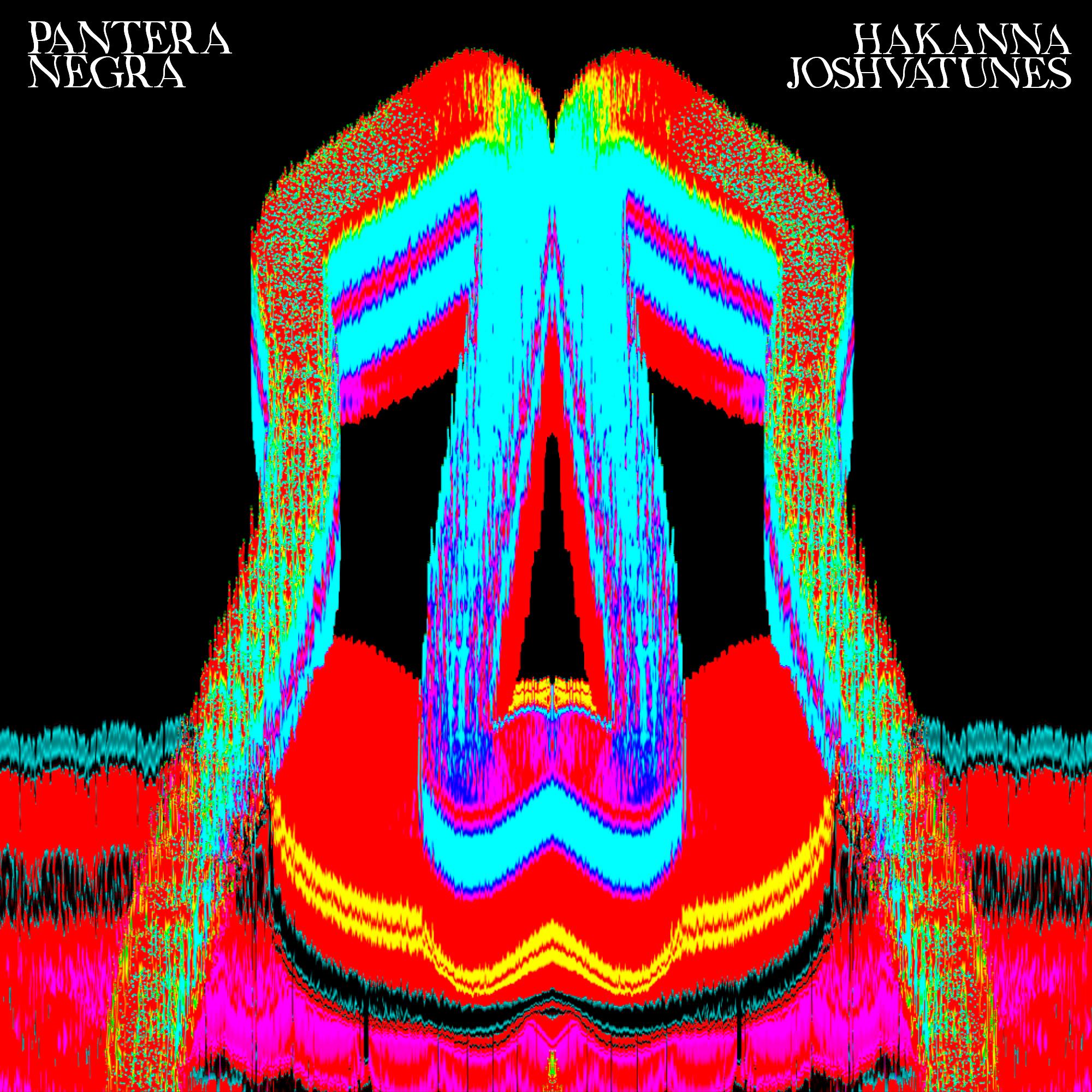 Постер альбома PANTERA NEGRA