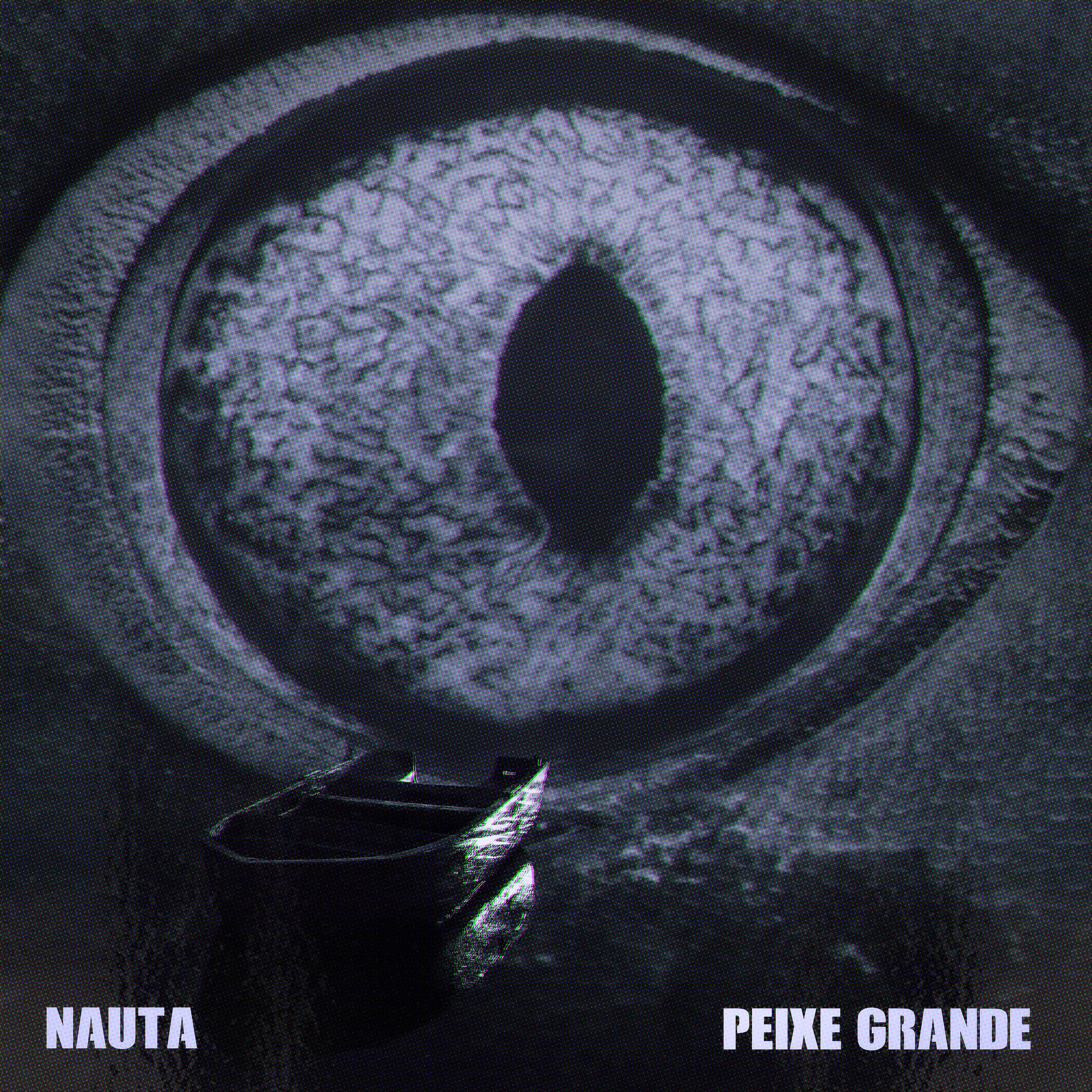 Постер альбома Peixe Grande