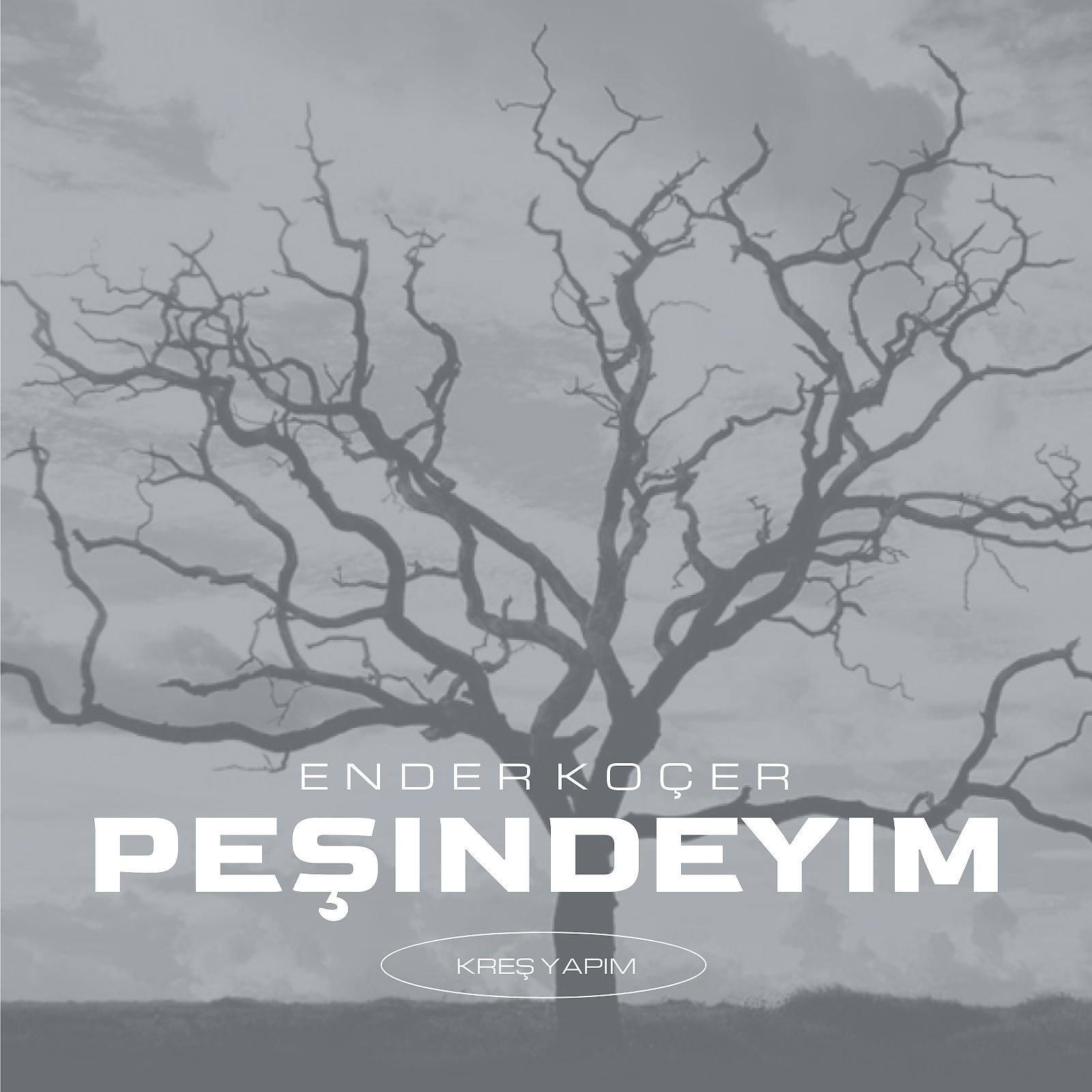 Постер альбома Peşindeyim