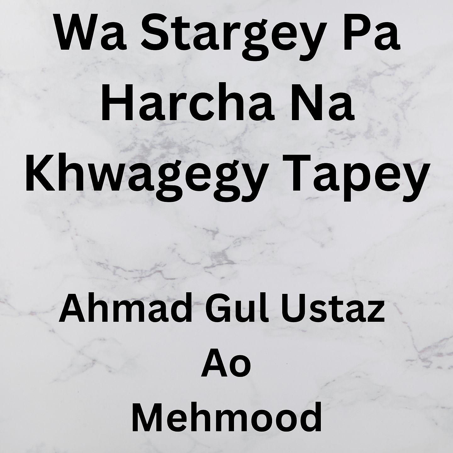 Постер альбома Wa Stargey Pa Harcha Na Khwagegy Tapey