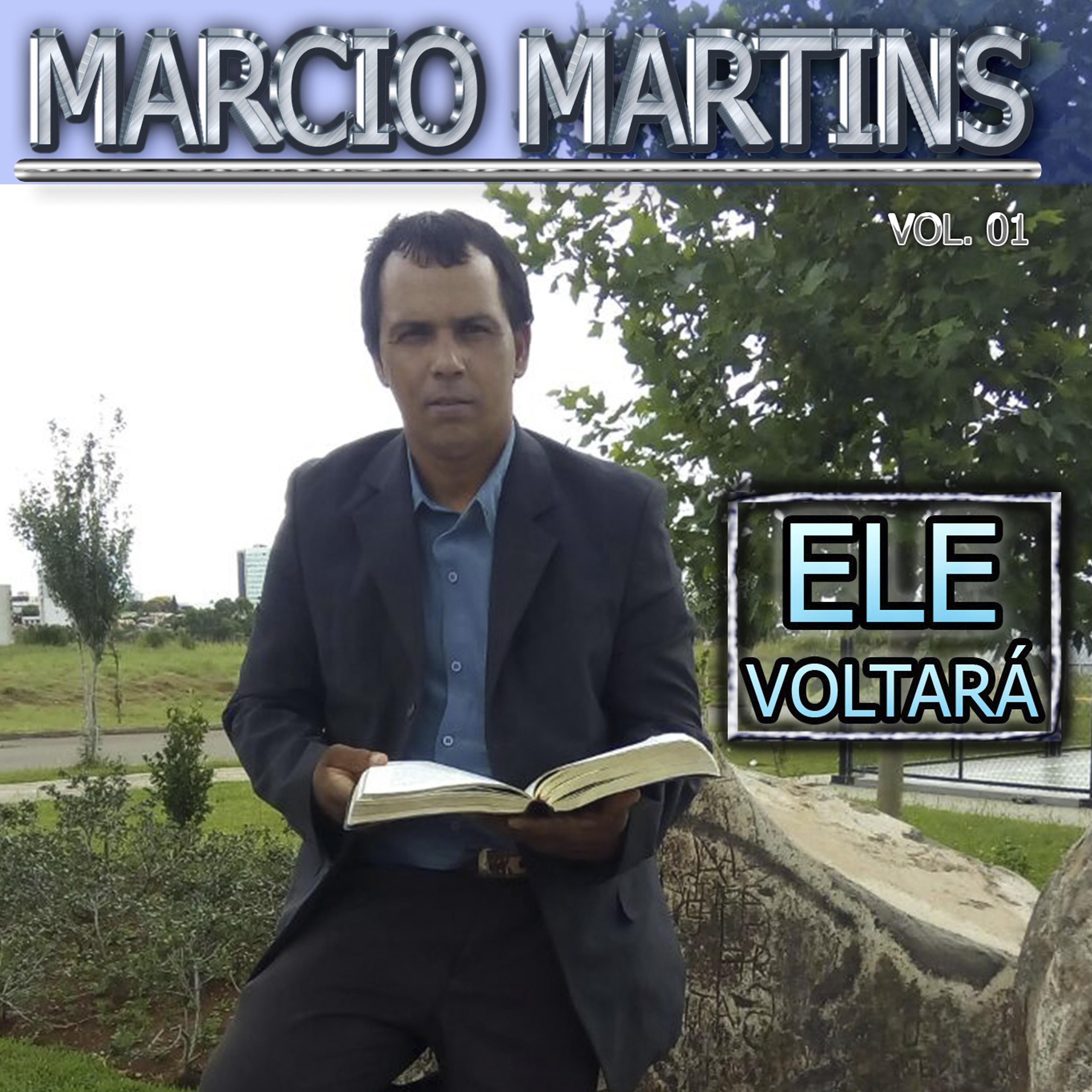 Постер альбома Ele Voltara