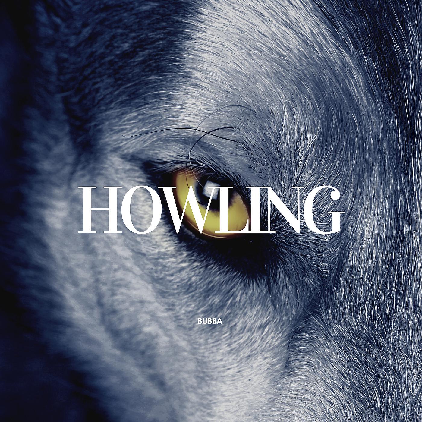 Постер альбома Howling