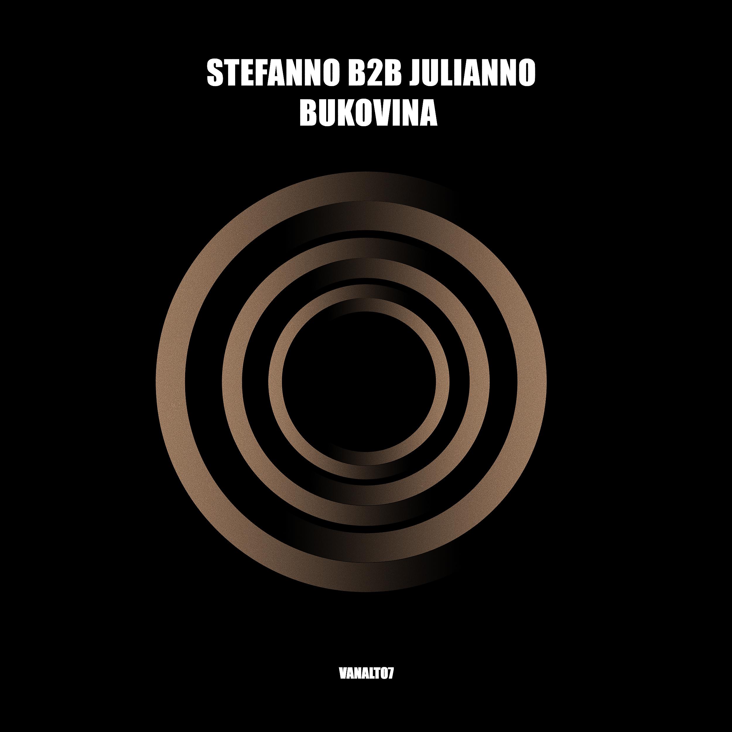 Постер альбома Bukovina