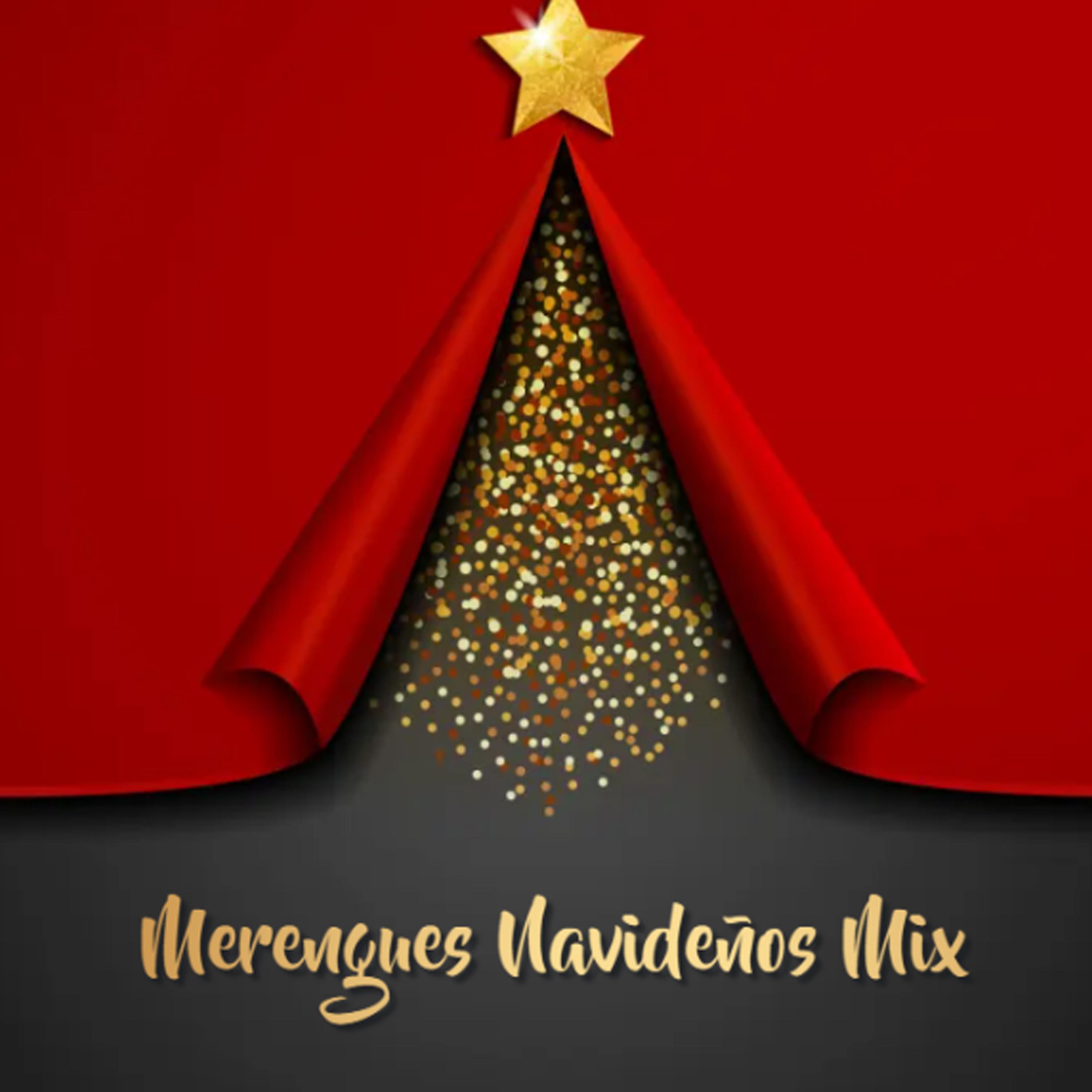 Постер альбома Merengues Navideños Mix