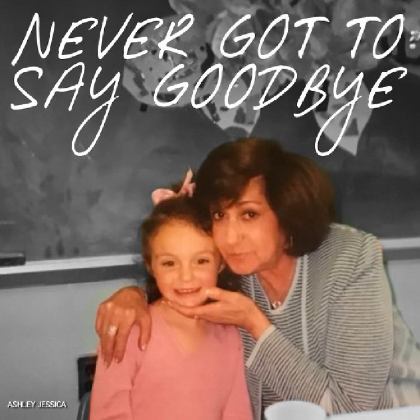 Постер альбома Never Got to Say Goodbye