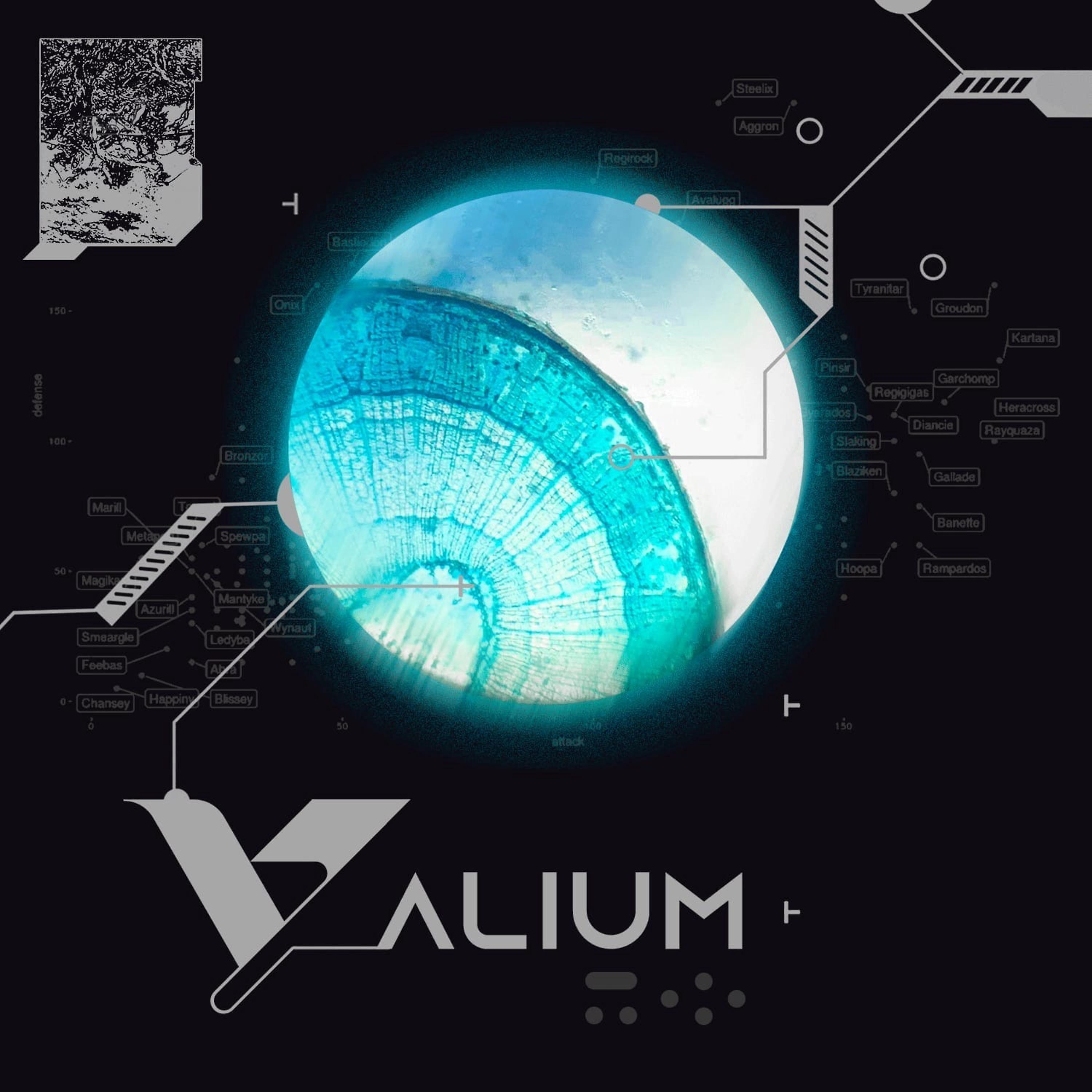 Постер альбома Valium